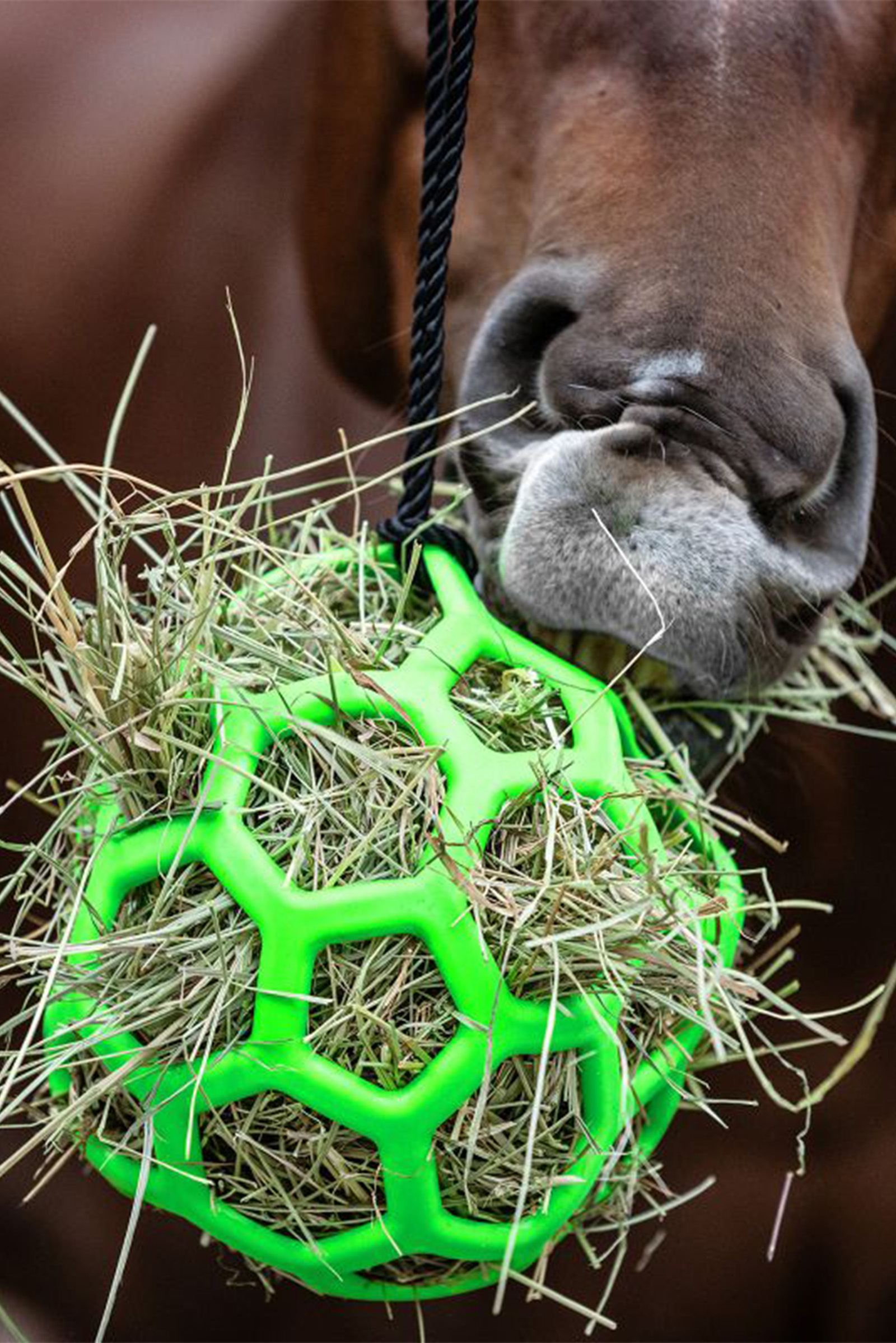 green Waldhausen Heuball