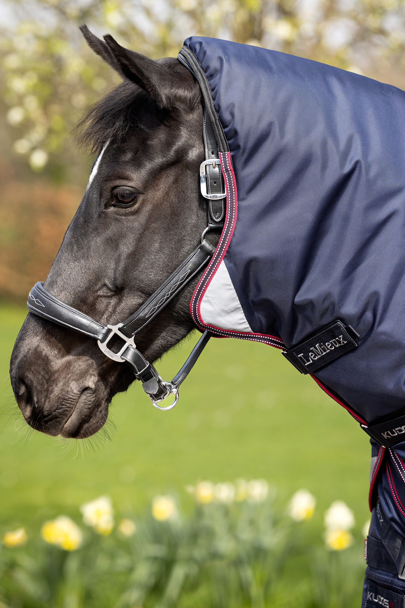 LeMieux Kudos Thermo Layer Outdoordecke 100g