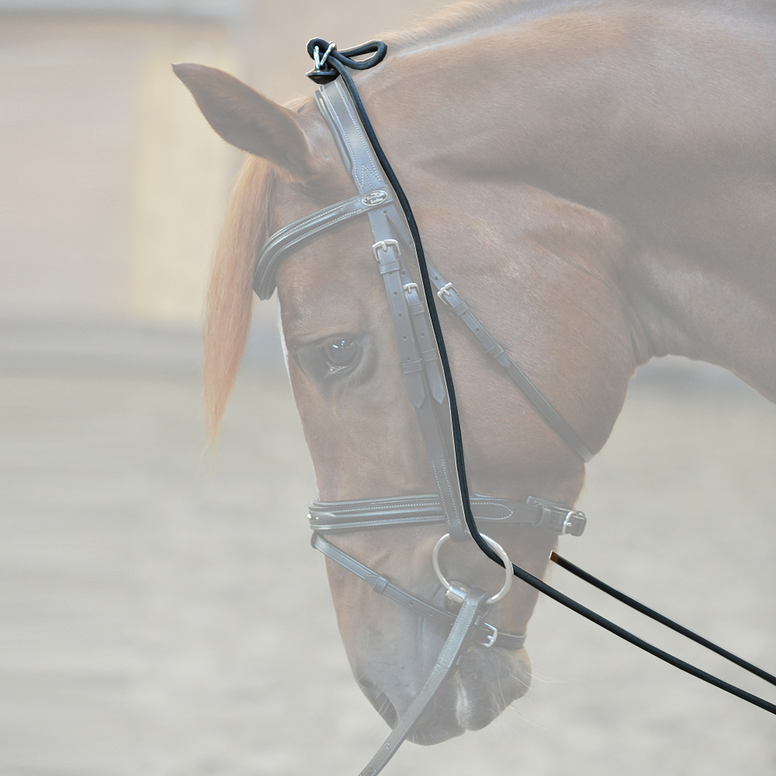 Kavalkade Halsverl&auml;ngerer