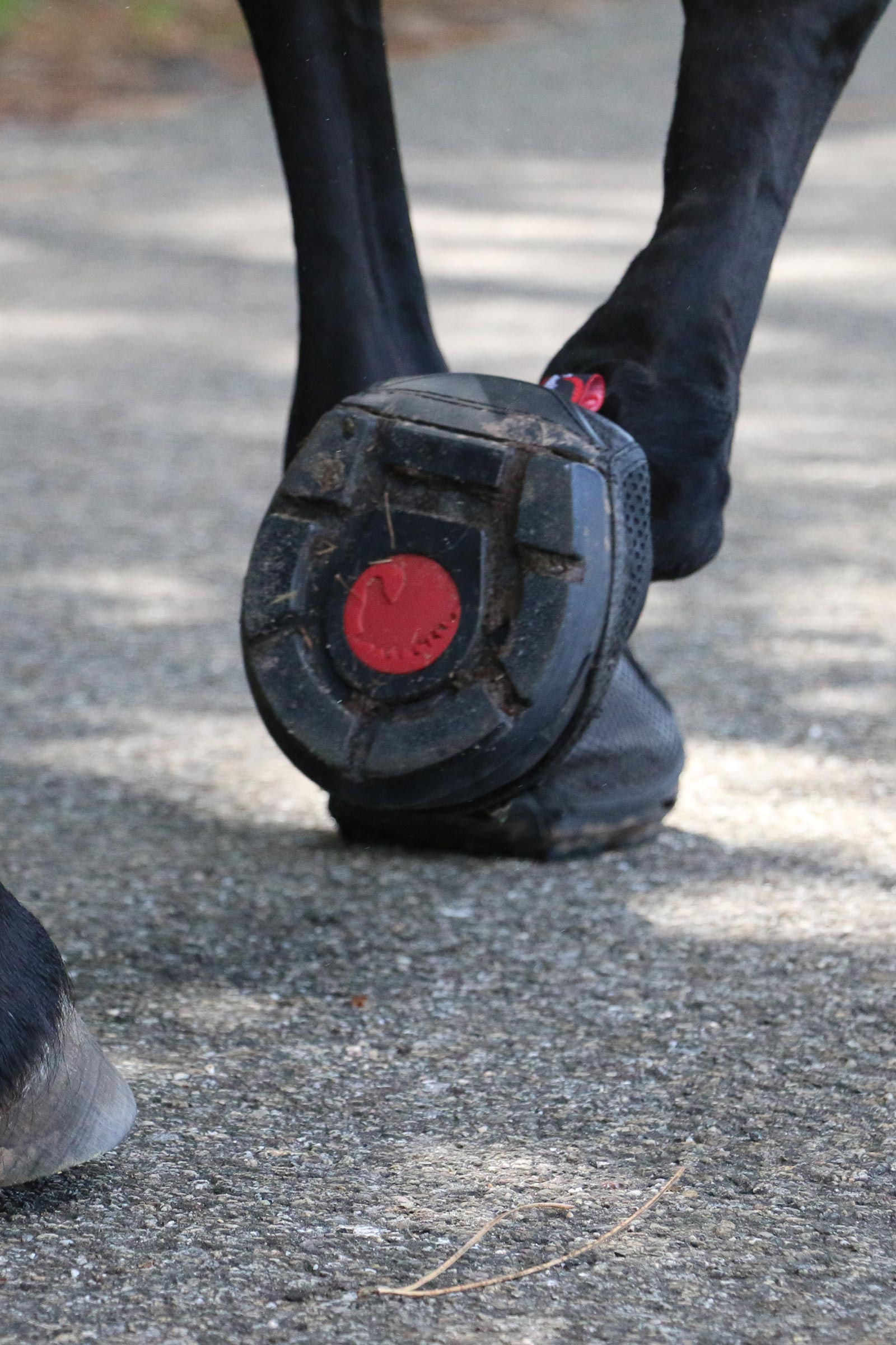 Cavallo Hoof Boots F.R.A. Trek Hufschuhe (schmal/Paar)