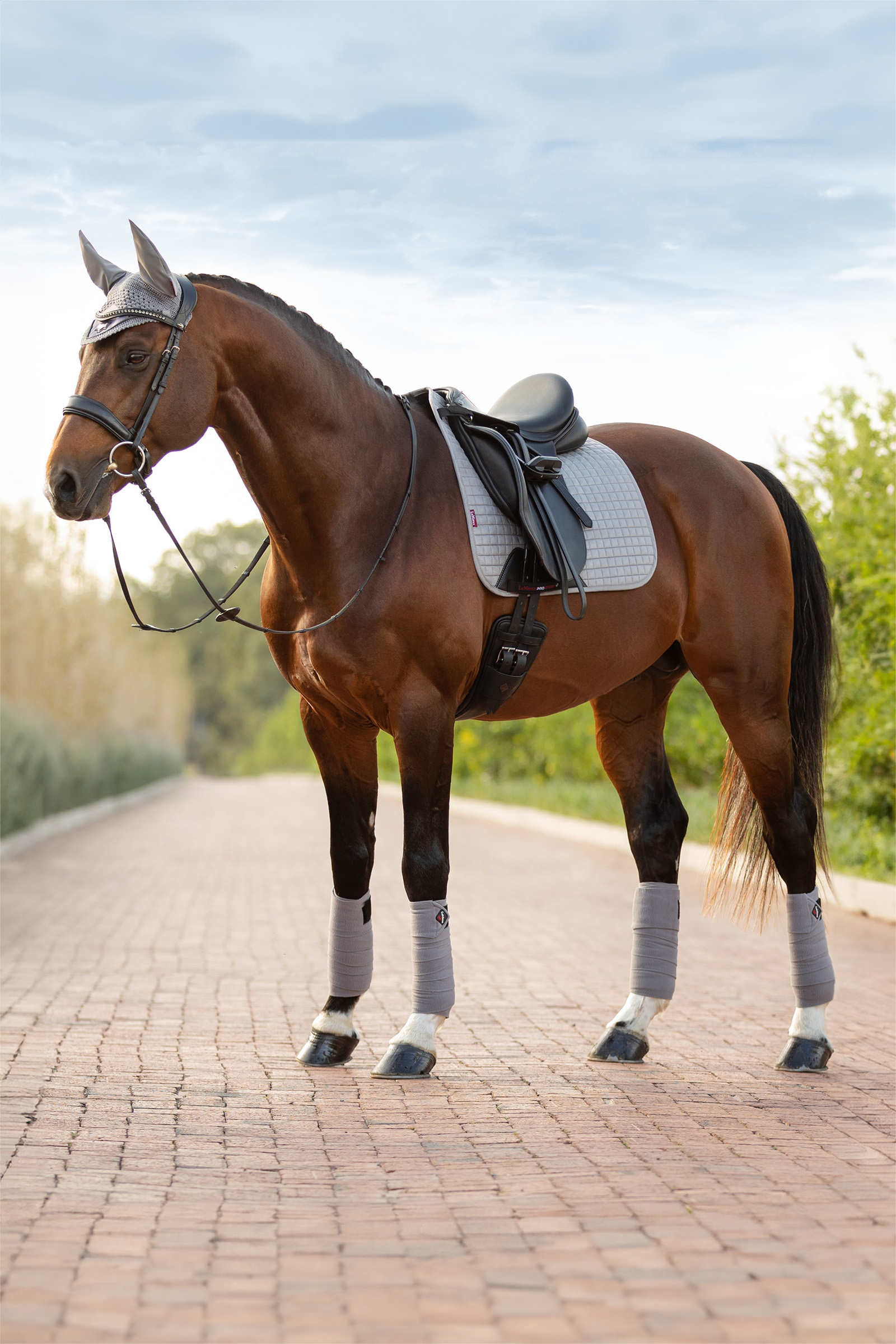 Grey LeMieux Suede Dressurschabracke