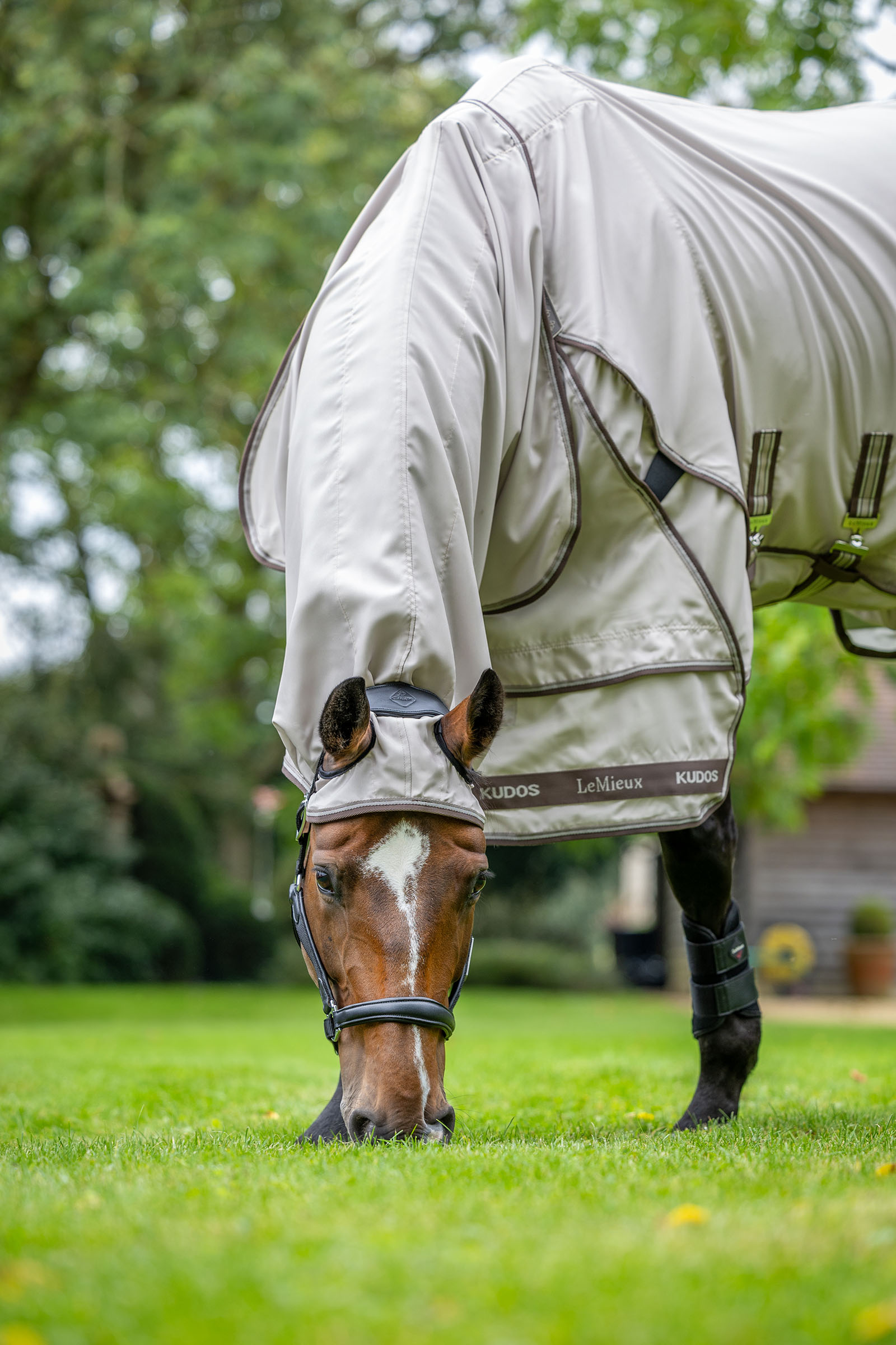 LeMieux Kudos Ekzemerdecke