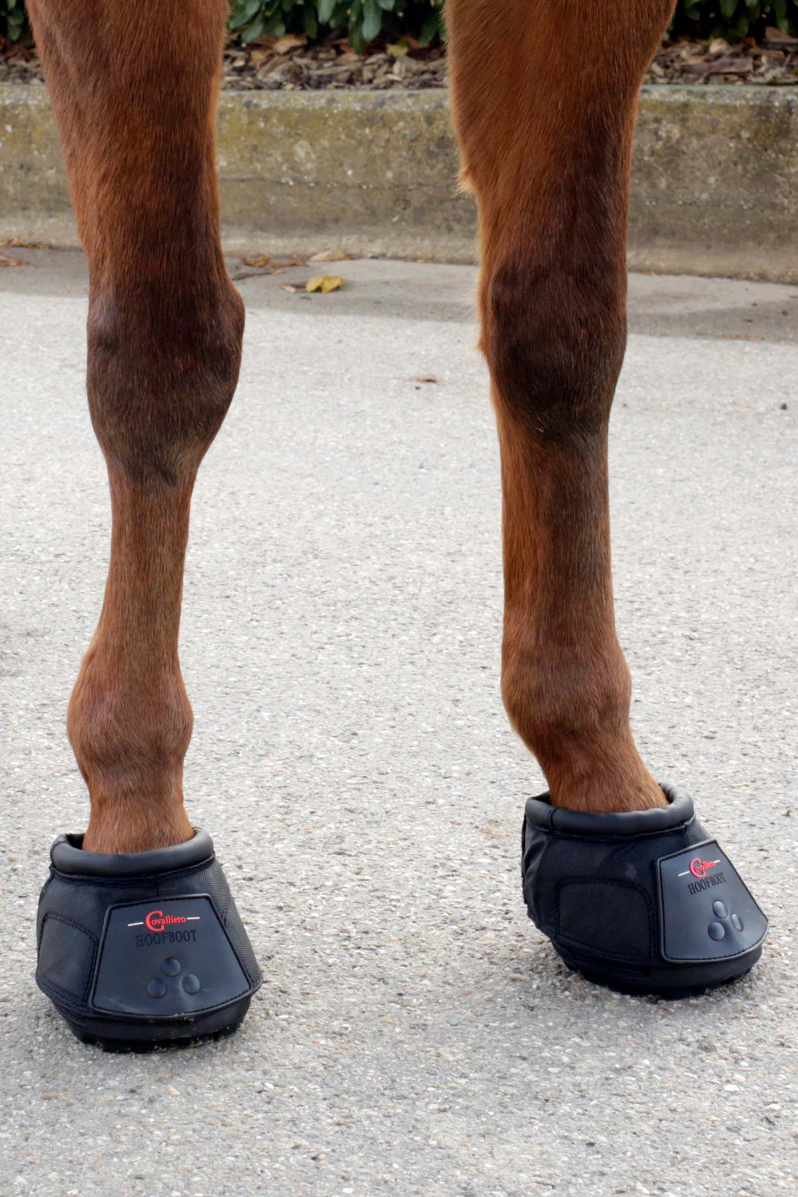 Covalliero Hufschuh (1 Stück)