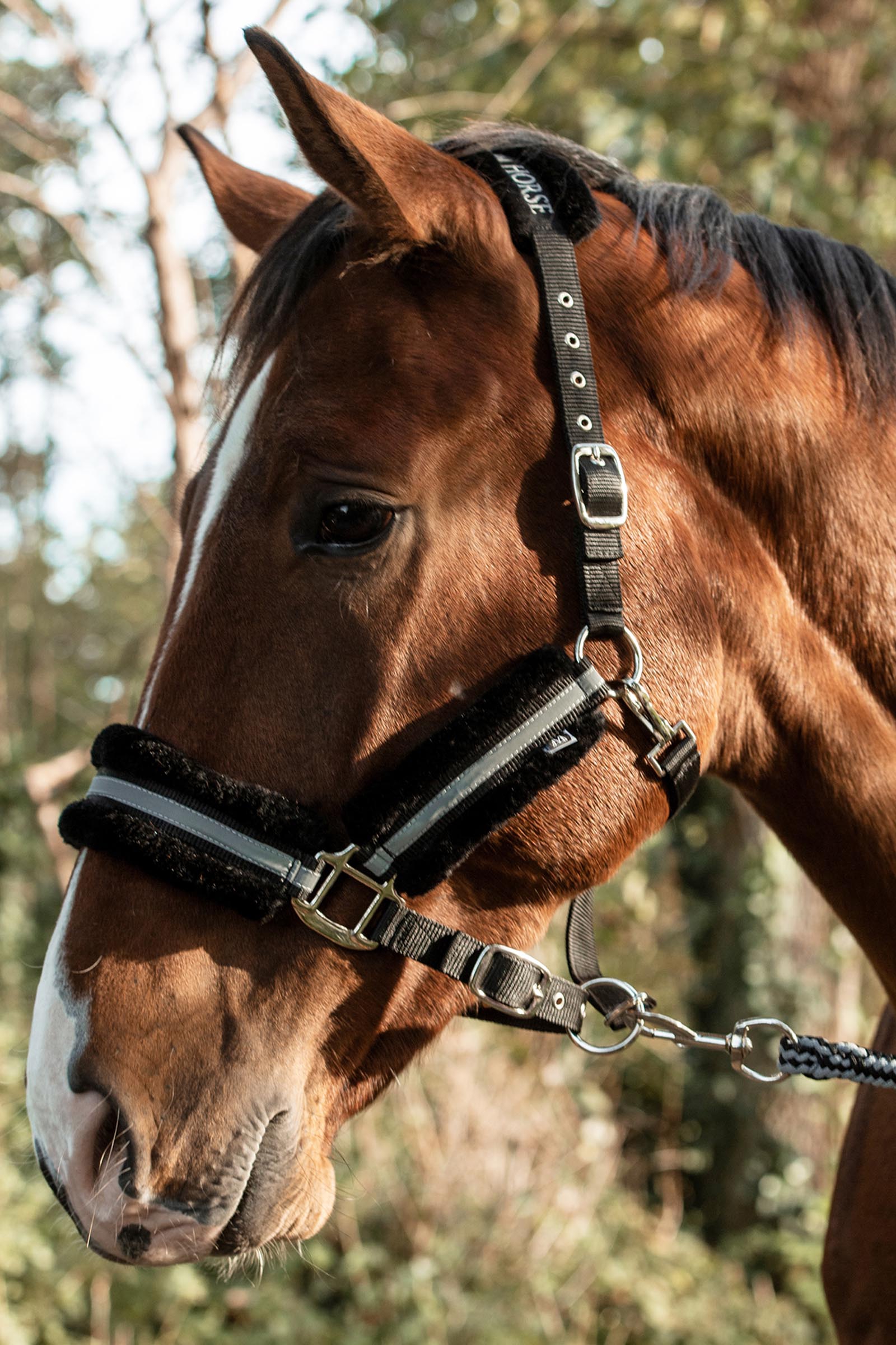 Mountain Horse verstellbares Halfter mit Kunstfell