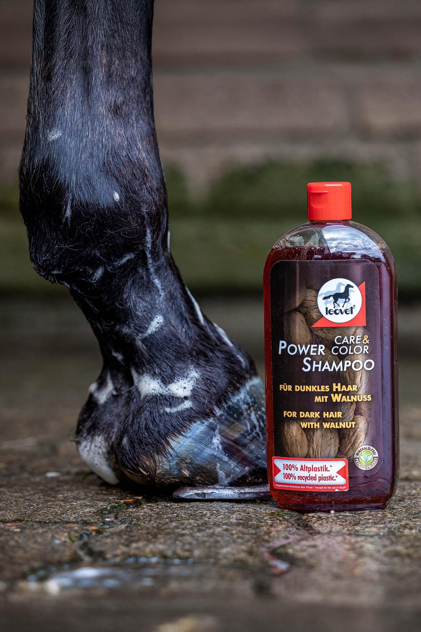 Leovet Power Shampoo Walnuss