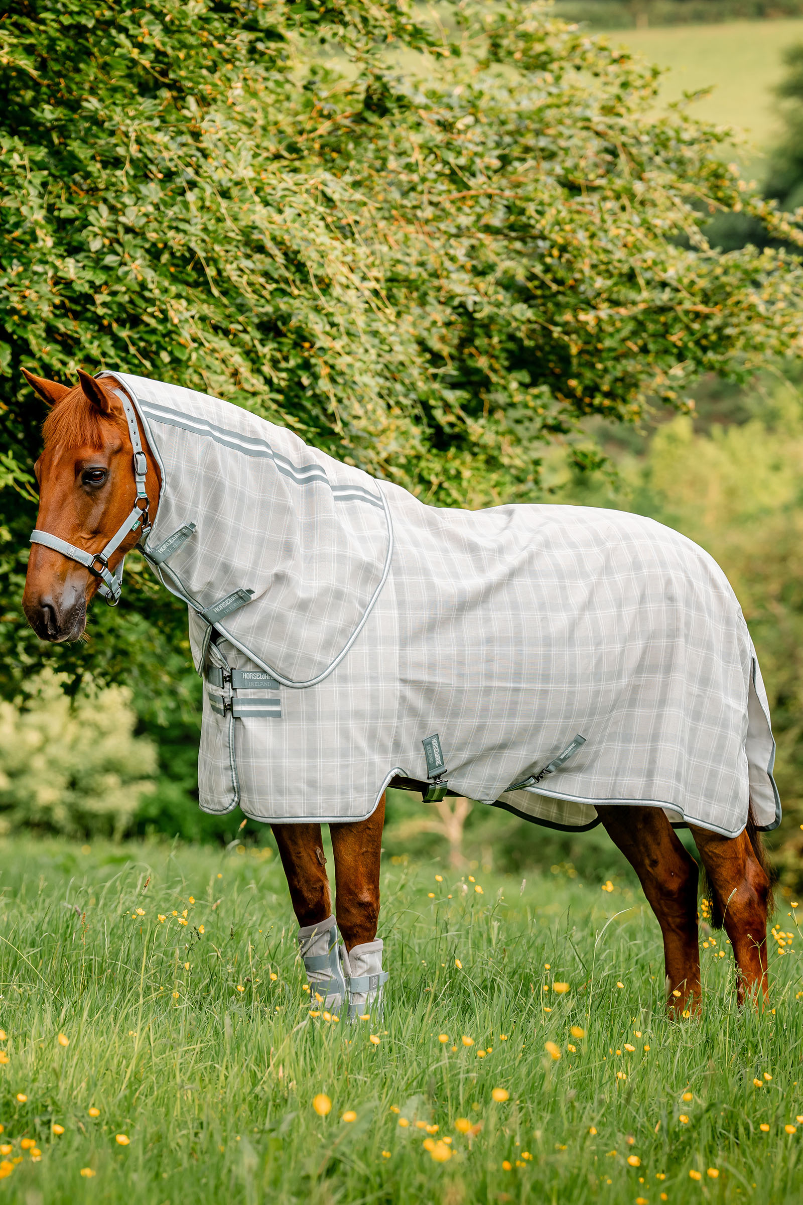 Horseware Newmarket Plus Fliegendecke