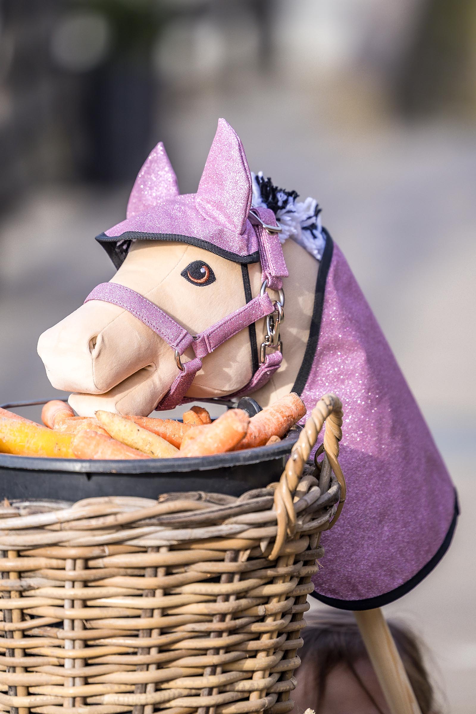 My Hobby Horse Decke & Fliegenhaube