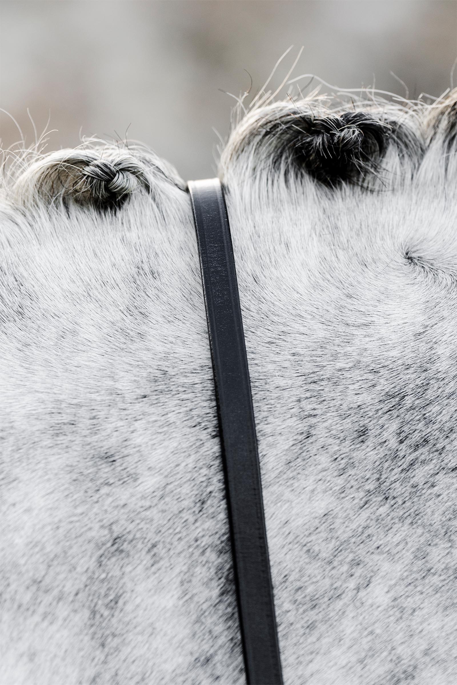 Horseware Kandarenz&uuml;gel