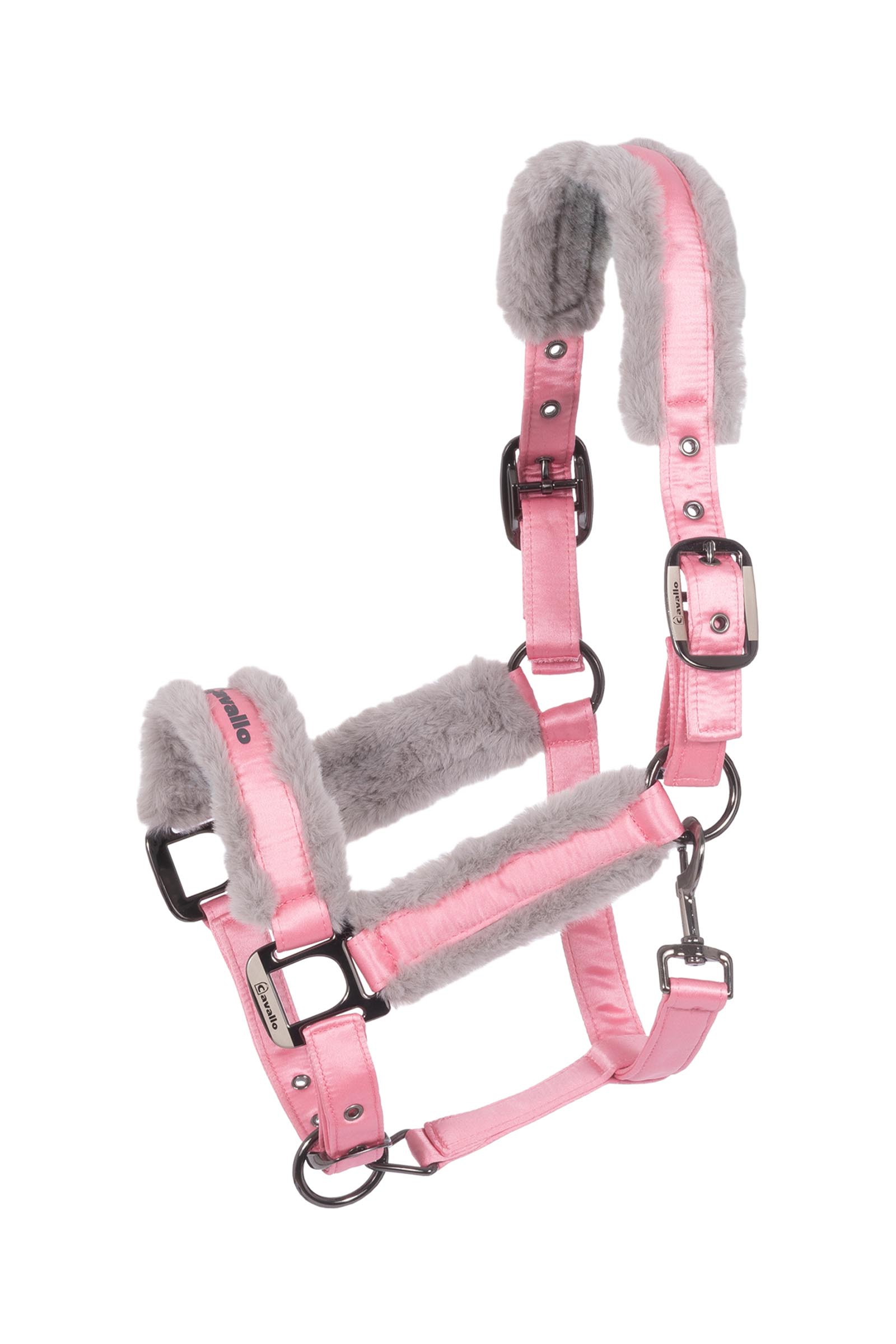 Powder Pink Cavallo CAVALJERO Halfter