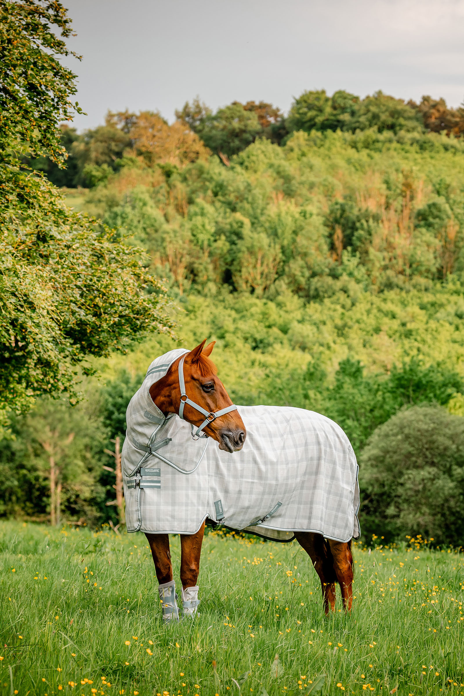 Horseware Newmarket Plus Fliegendecke