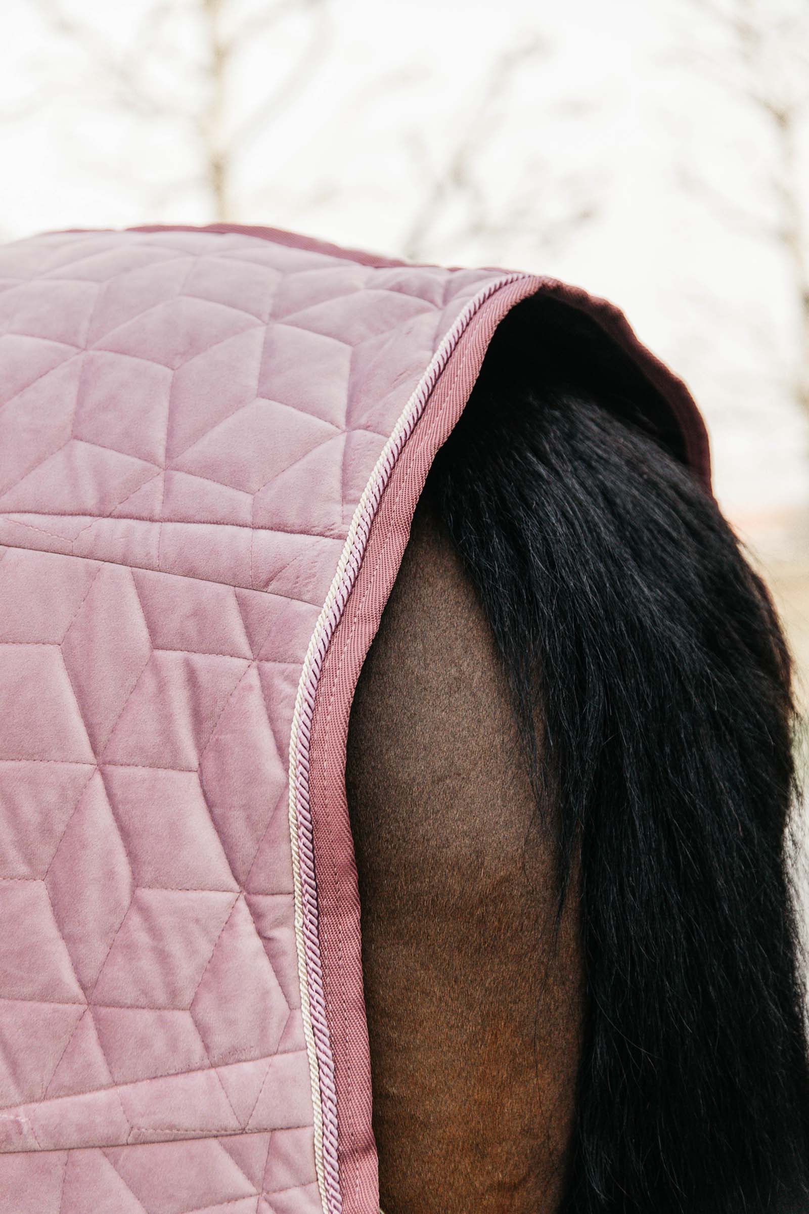 Kentucky Horsewear Velvet Turnierdecke, 160g