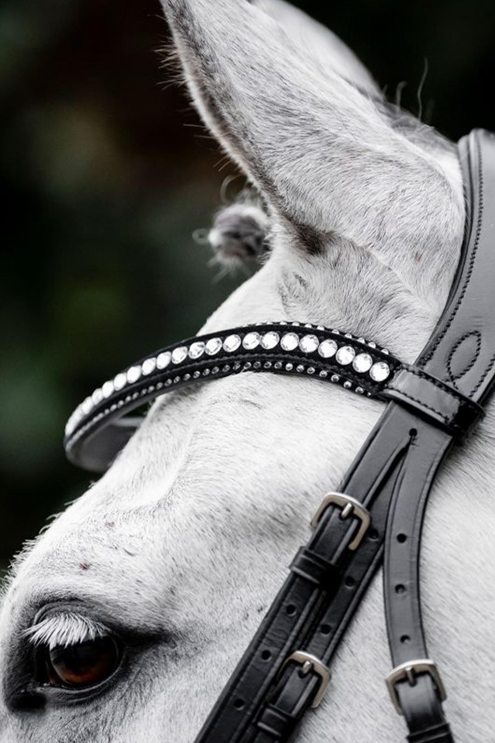 Horseware Diamante Trense mit kombiniertem Reithalfter
