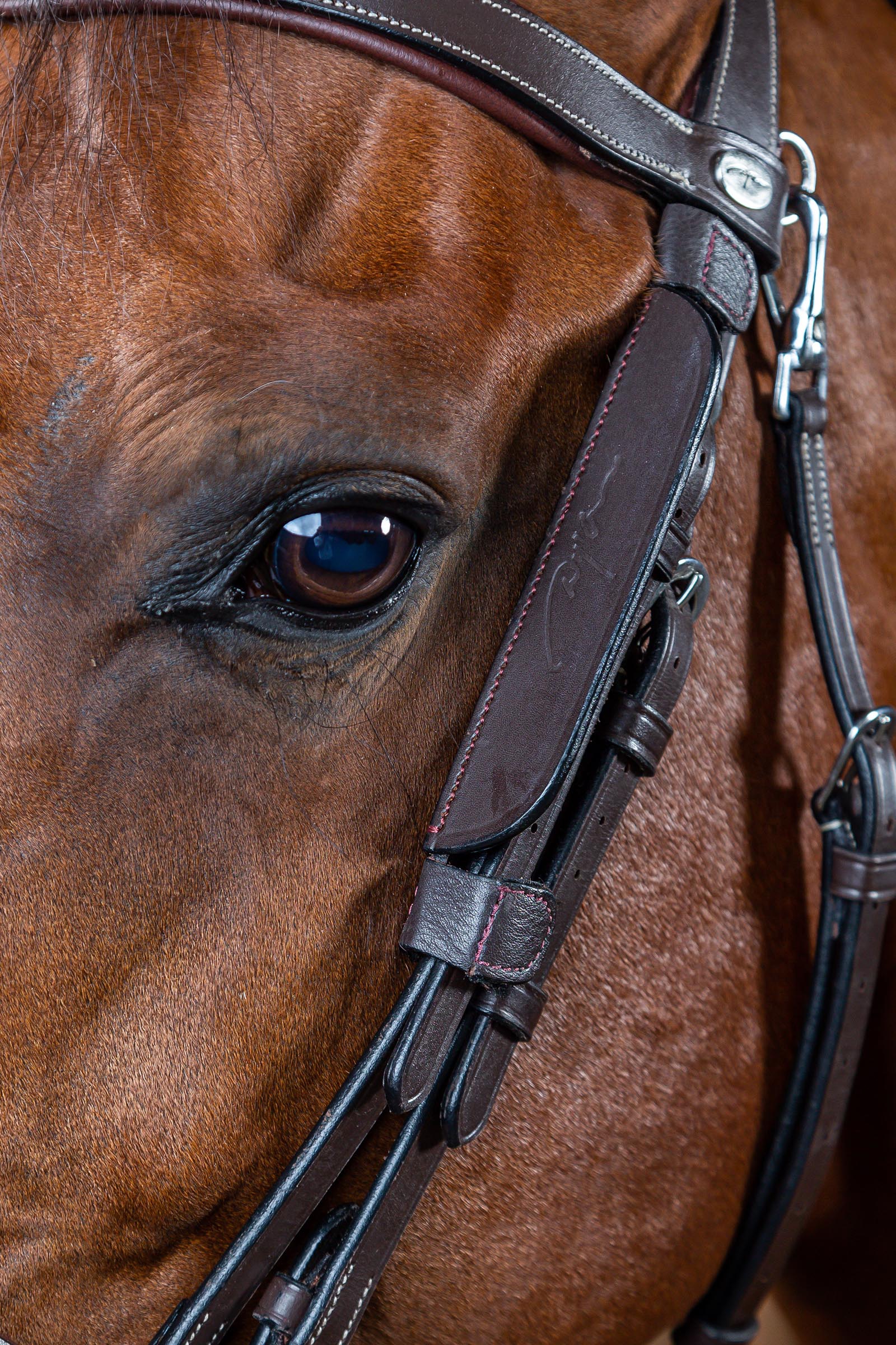 Dy'on Working Mini-Scheuklappen