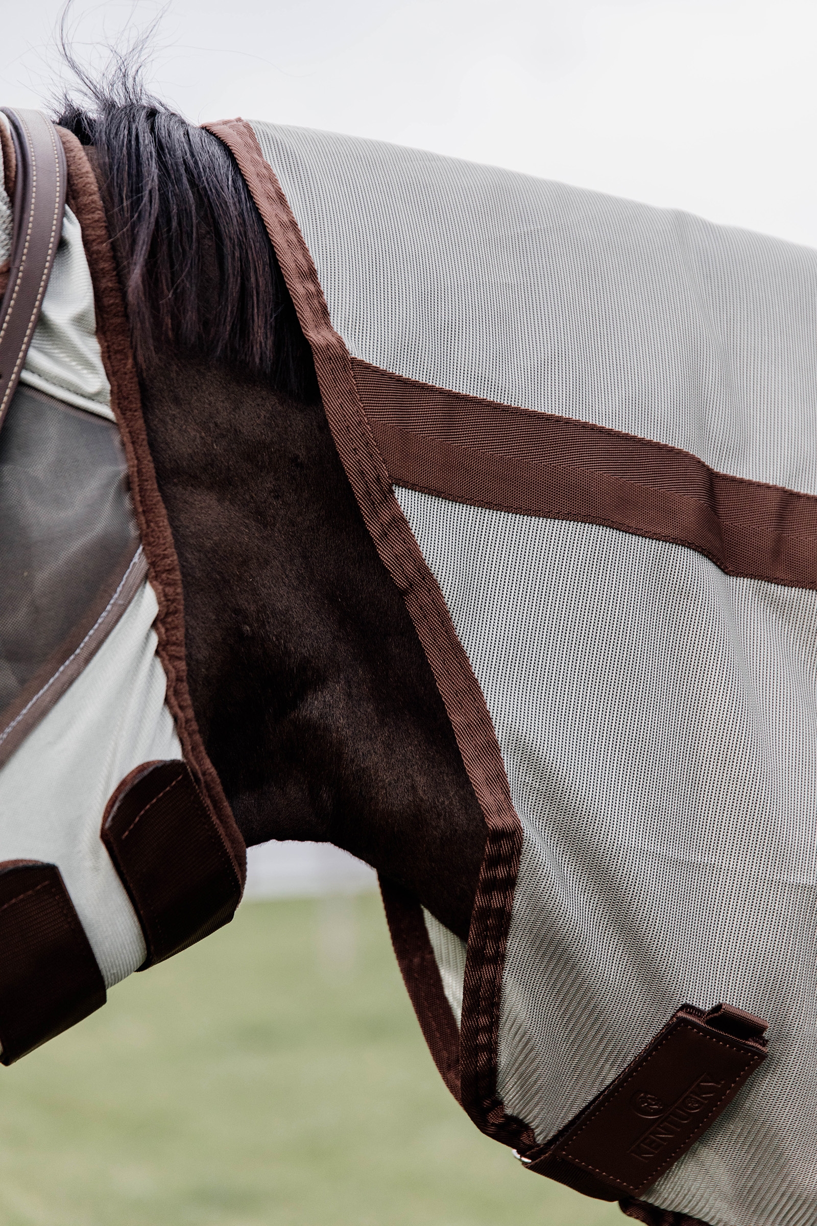 Kentucky Horsewear Classic Fliegendecke