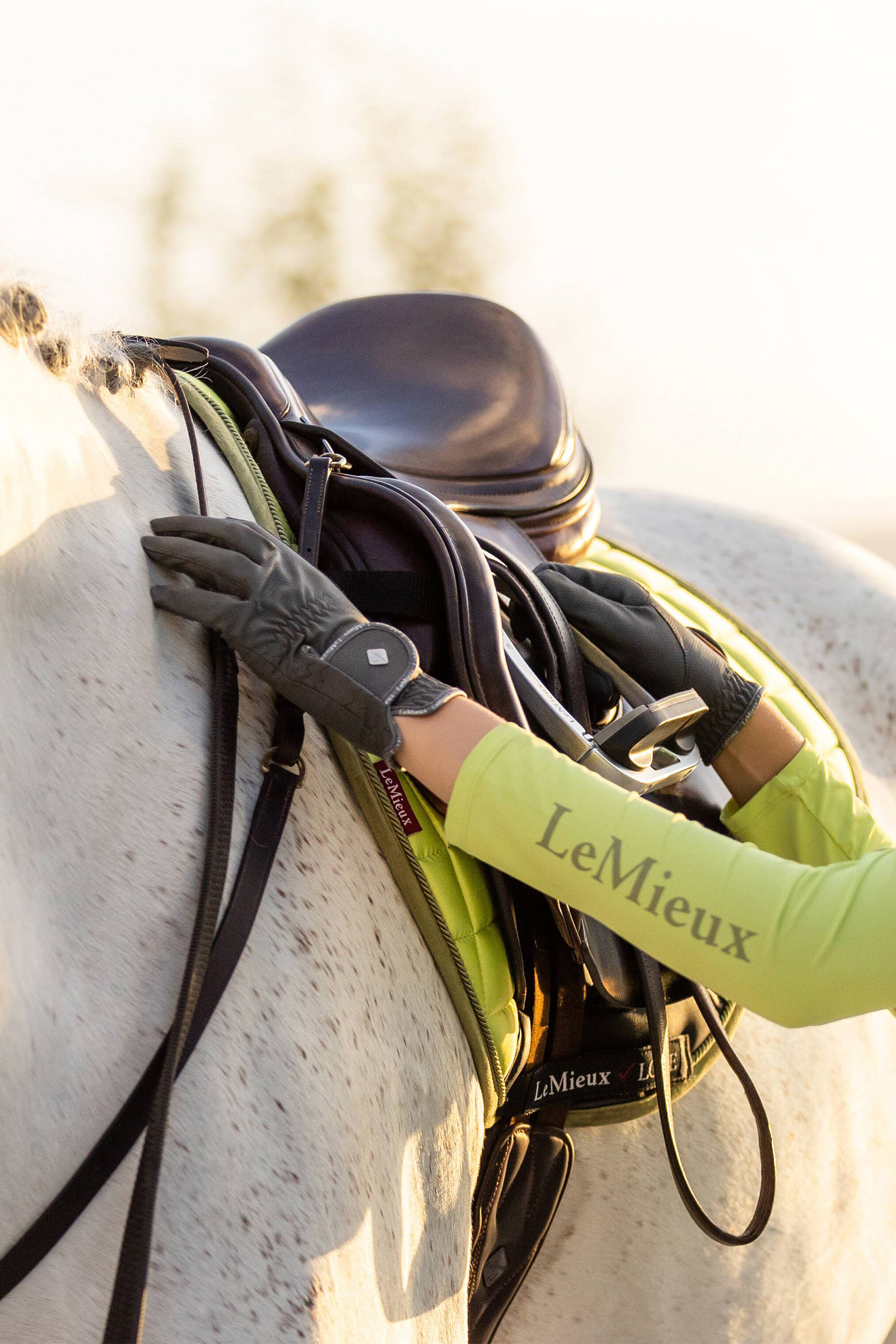 LeMieux ProTouch Classic Reithandschuhe