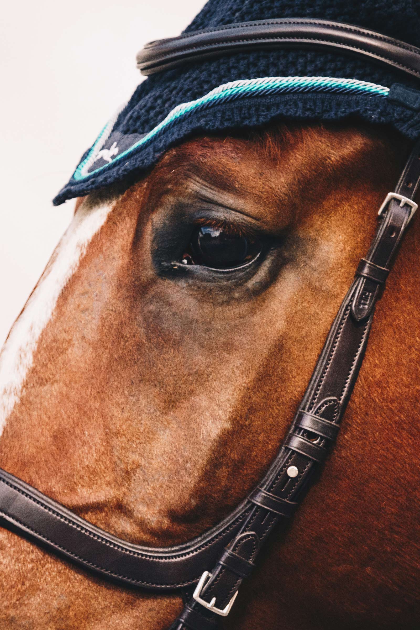 Schockem&ouml;hle Sports Equitus Delta Trense