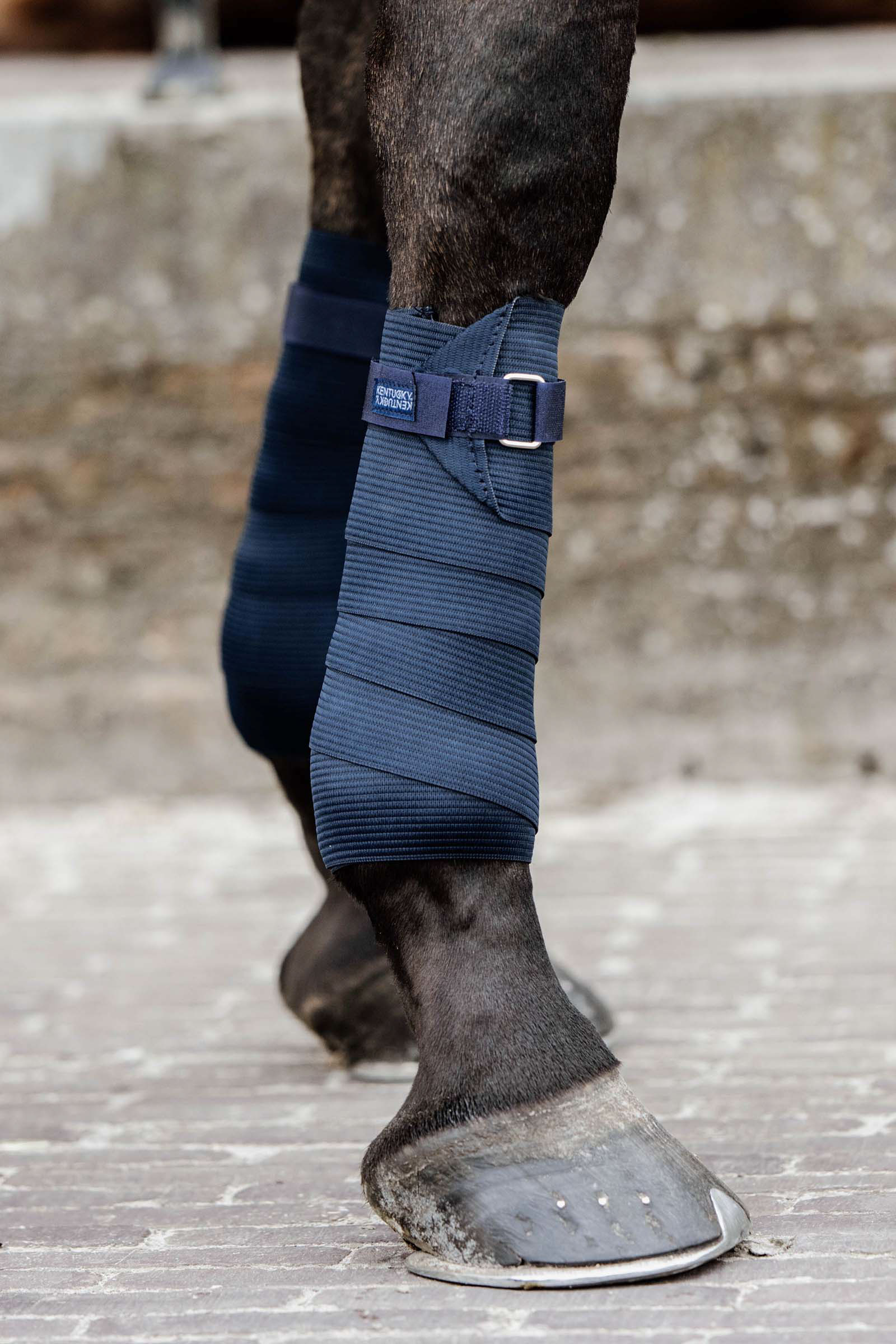 DB/AB Kentucky Horsewear Polar Fleece- & Elastikbandagen