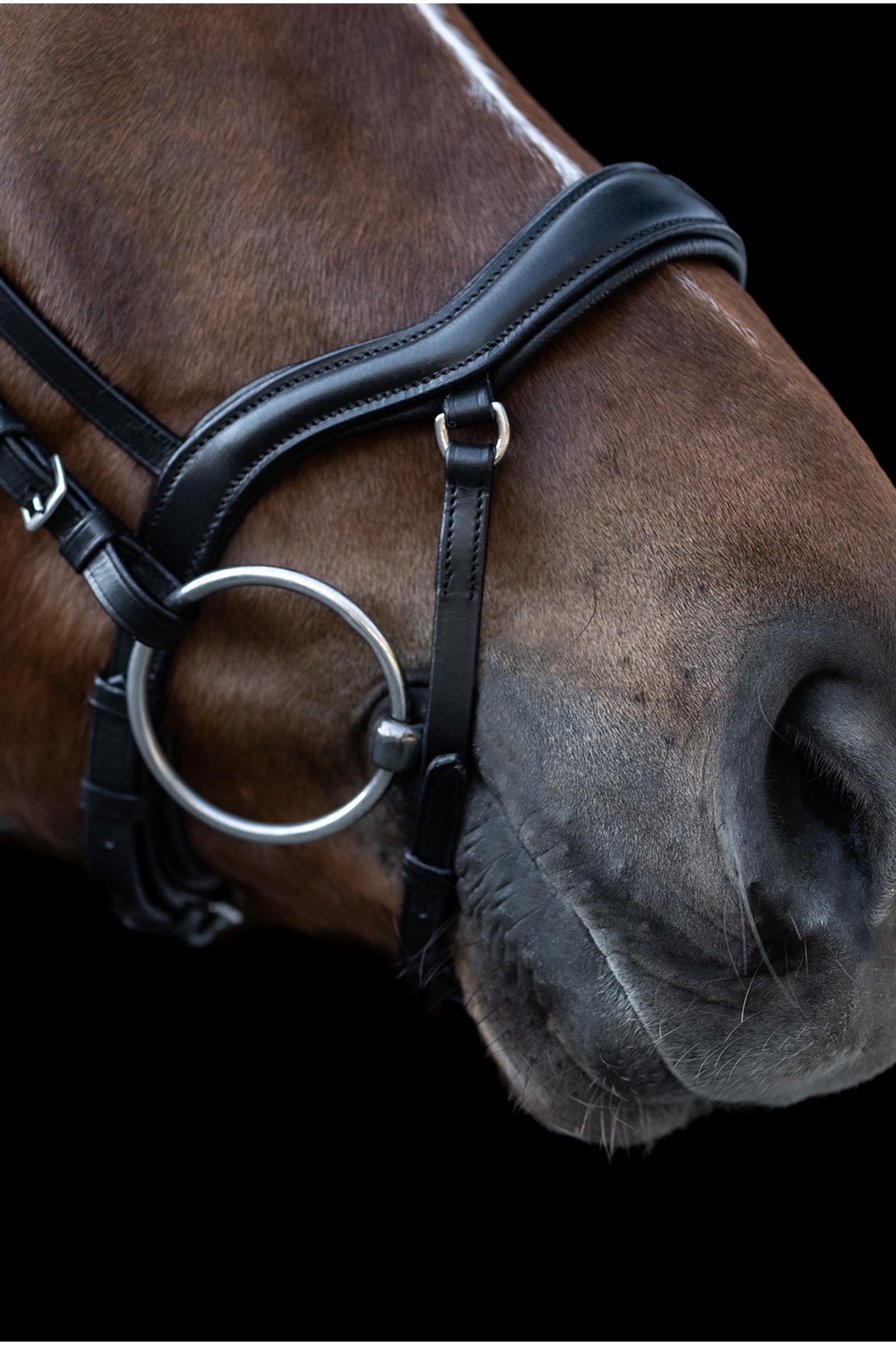 Waldhausen X-Line New Shape II Trense