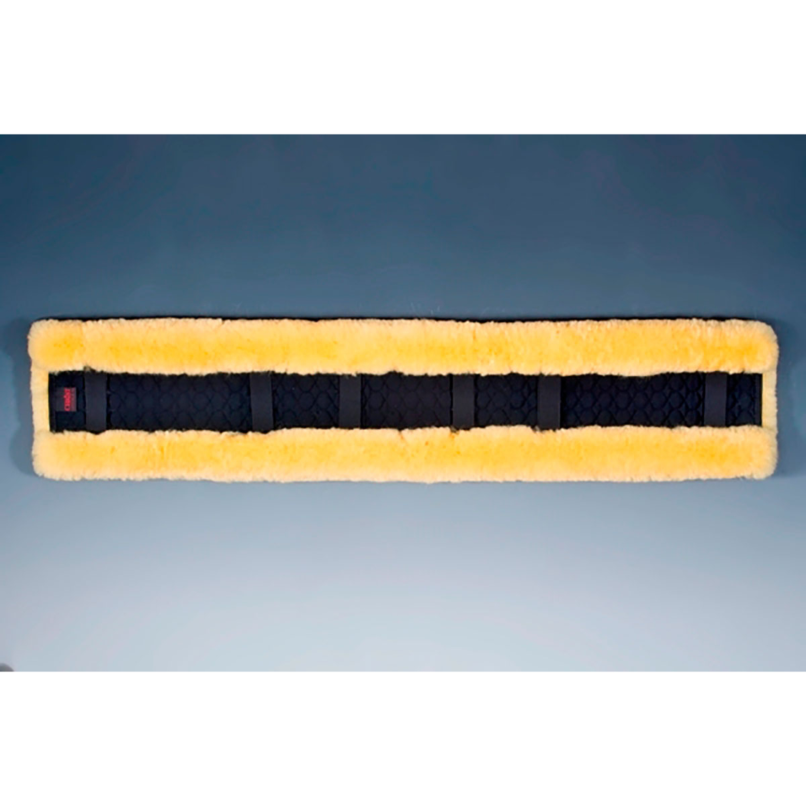 Christ Selettunterlage, 100