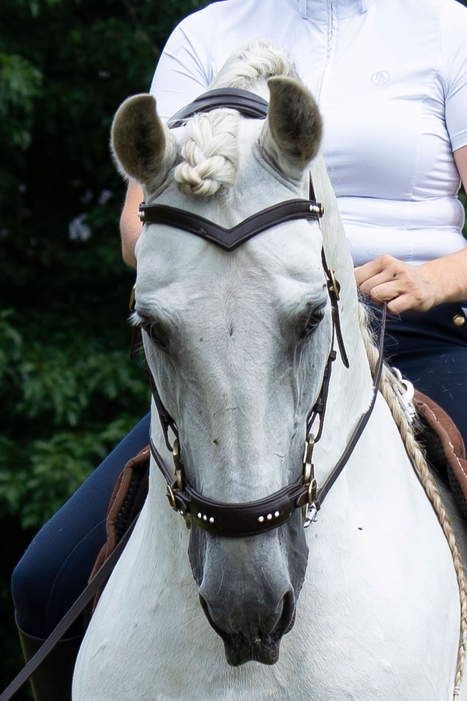 F.R.A. Freedom Riding Articles Glory Hackamore Zaum mit Zügeln (System 2), braun