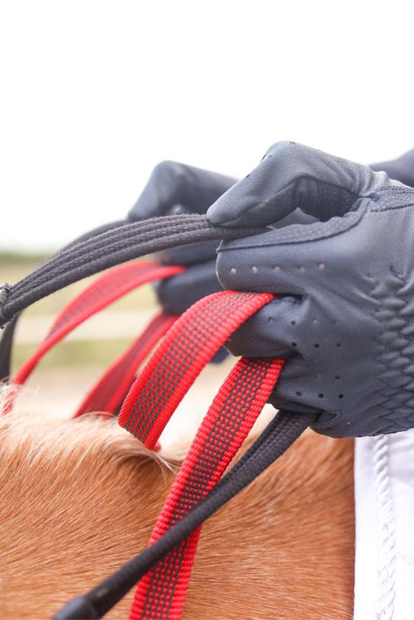 Waldhausen Vorderzeug Mit Sicherheitszügel Secutrust