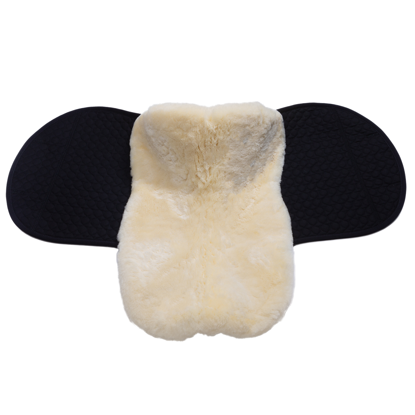 Christ Satteldecke Champ 1/4 Rand VS