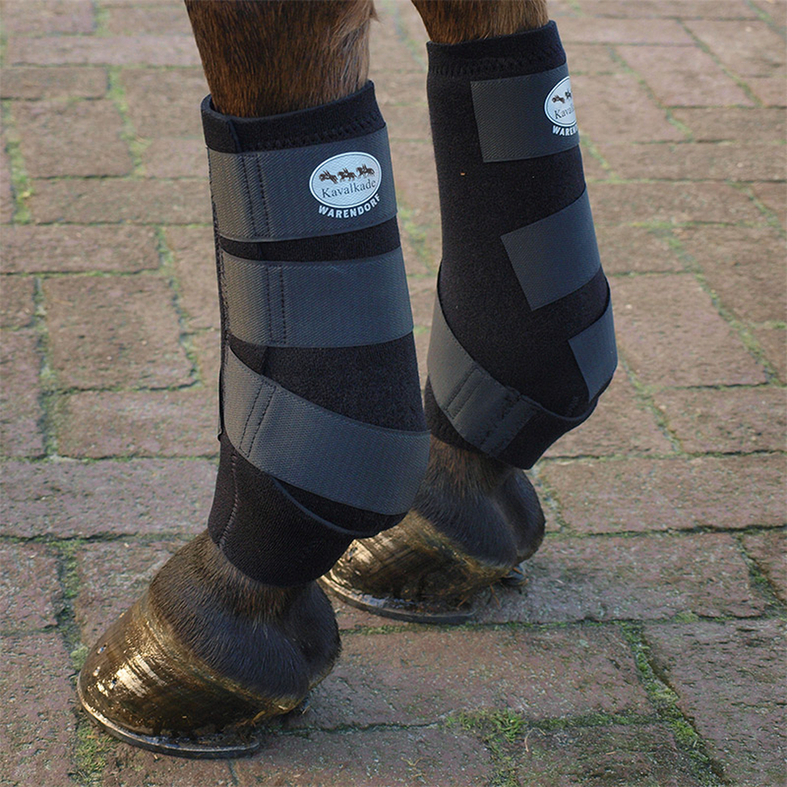 Kavalkade Neoprengamaschen "Allround"