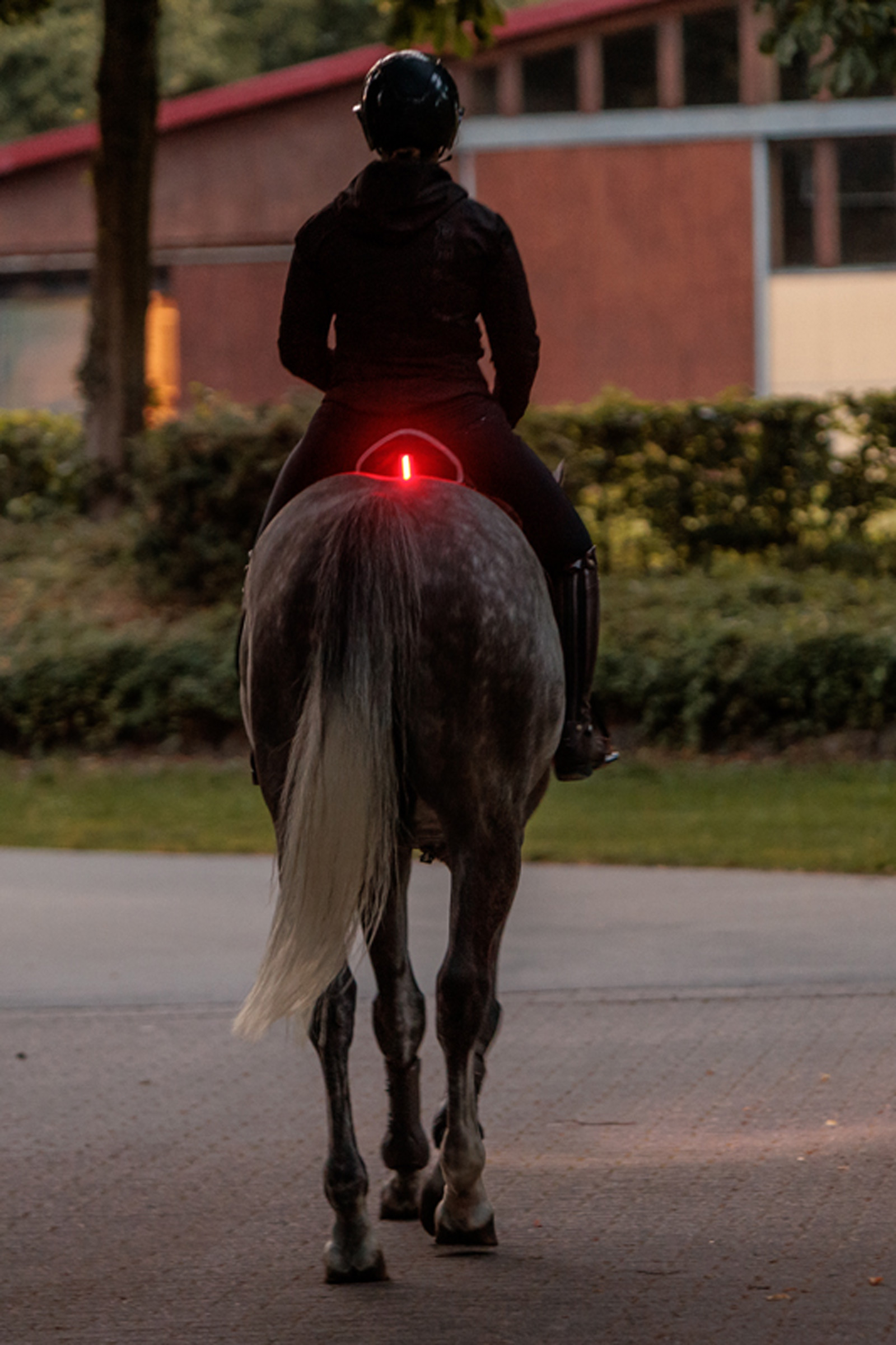 Kavalkade Horselight rotes Rücklicht für den Sattel