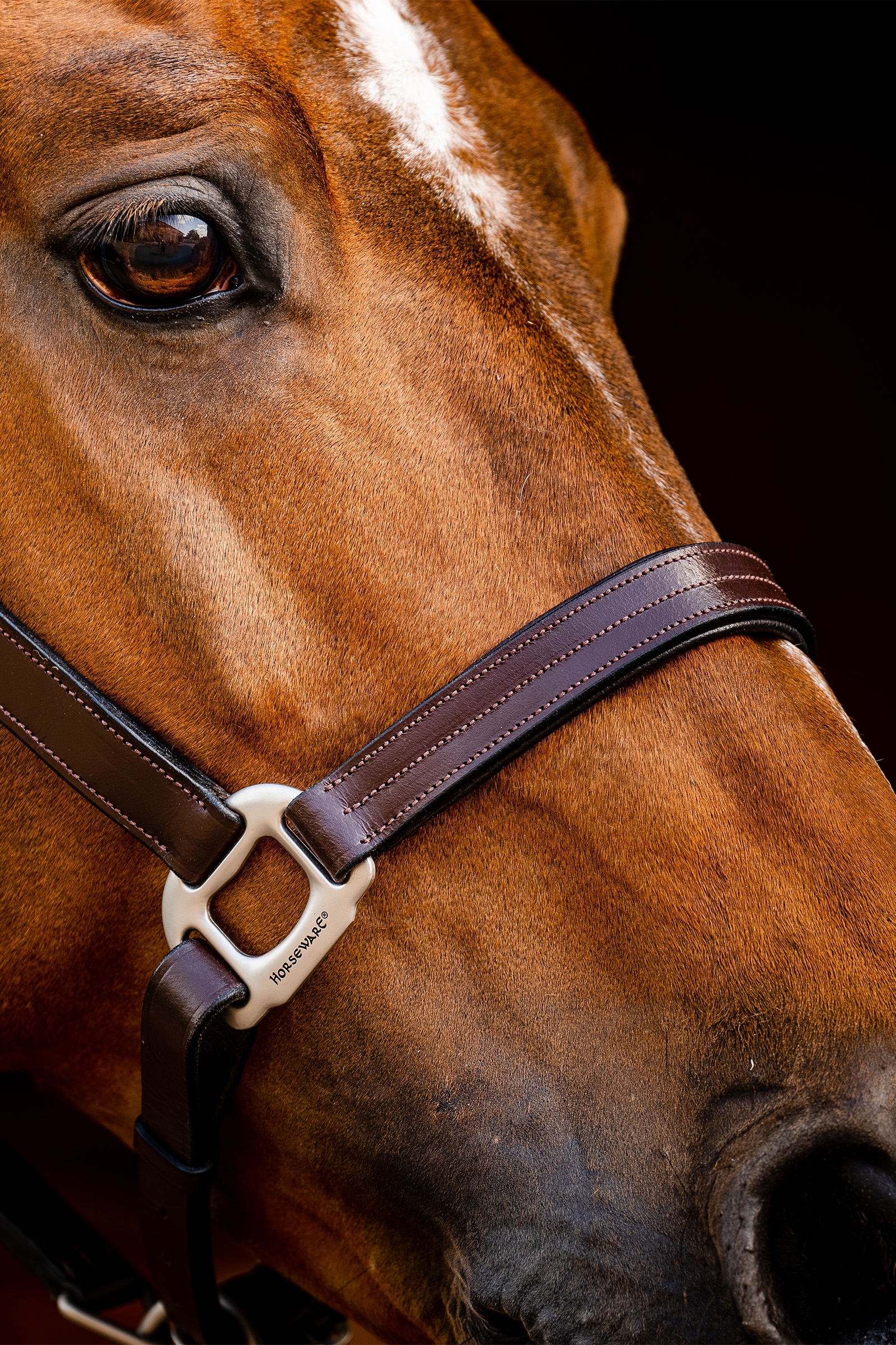 Horseware Signature Lederhalfter