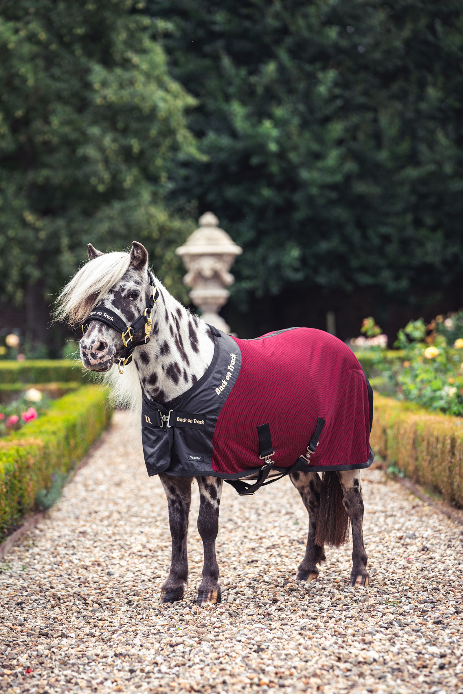 Back on Track Royal Pony Netzdecke Deluxe