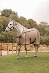 B Vertigo Combo Fly Rug with Detachable Neck and UV Protection