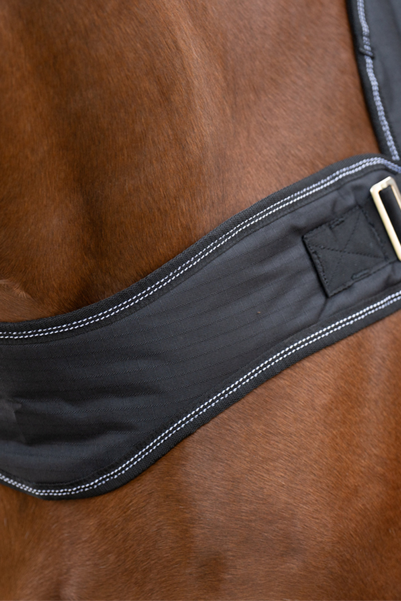 Kavalkade Halifax 2in1 Weidedecke und F&uuml;hranlagendecke 200g