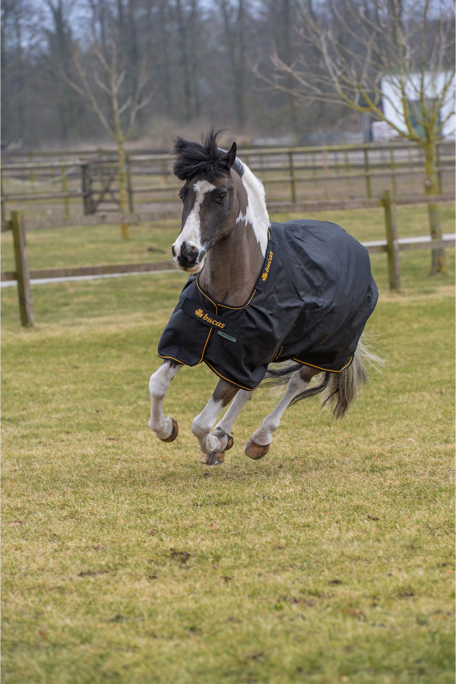 Bucas Irish Outdoordecke, 100 g