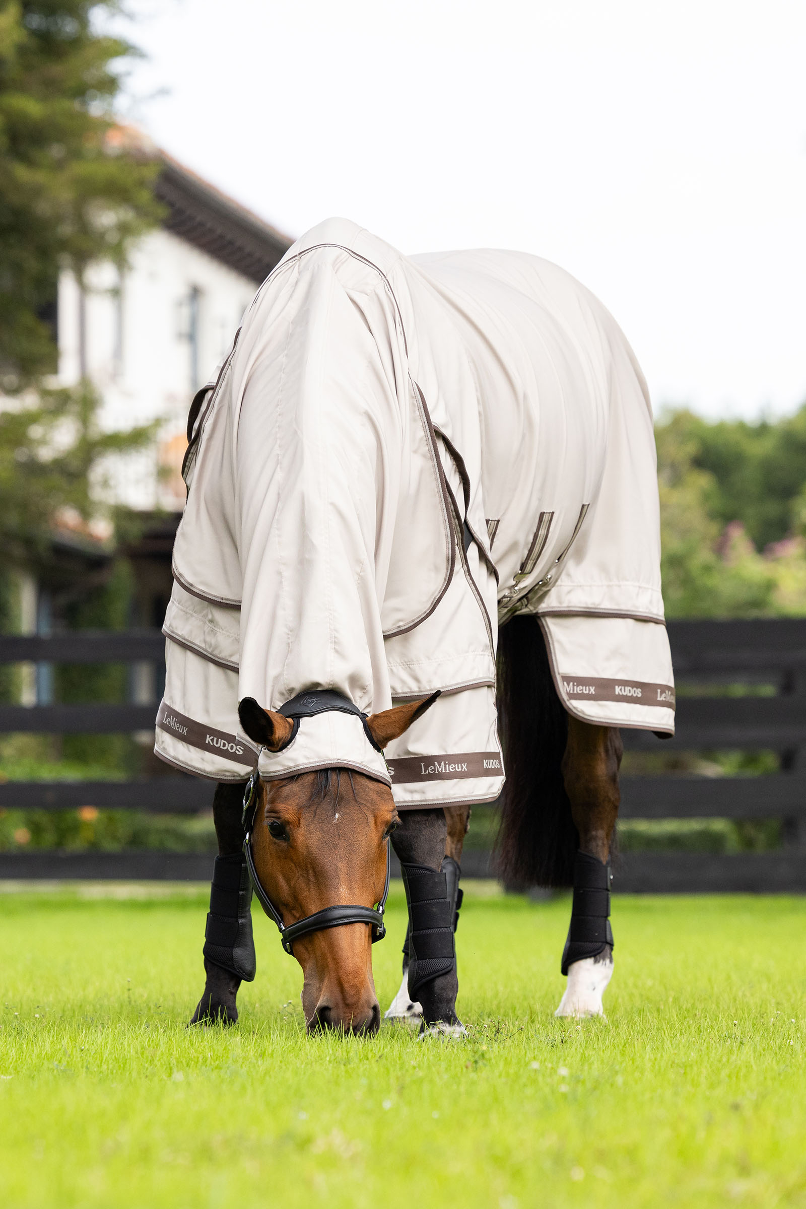 LeMieux Kudos Ekzemerdecke