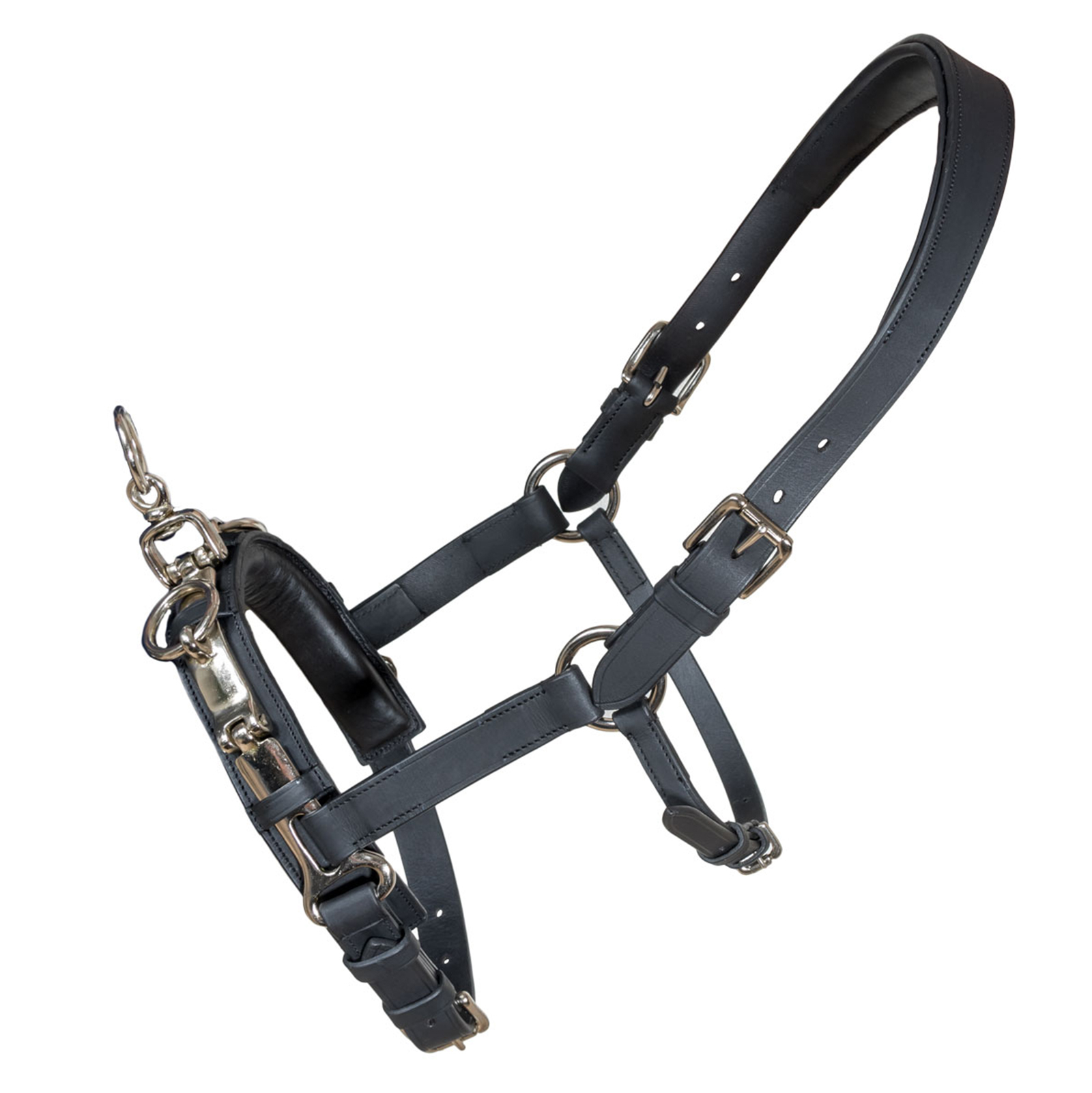 Karlslund Fengur Kappzaum