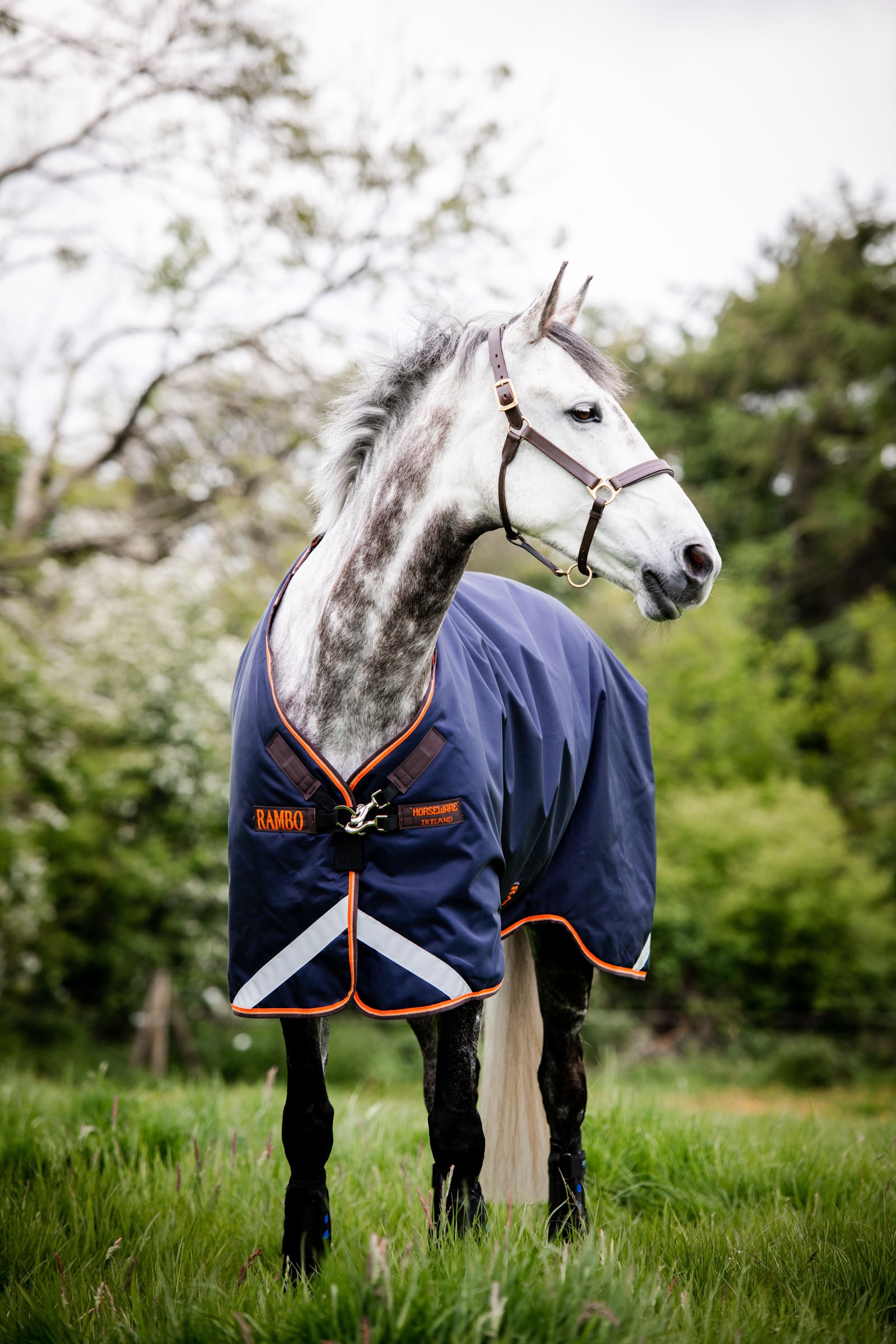 Horseware Rambo Original Weidedecke mit Beinausschnitt, 100g
