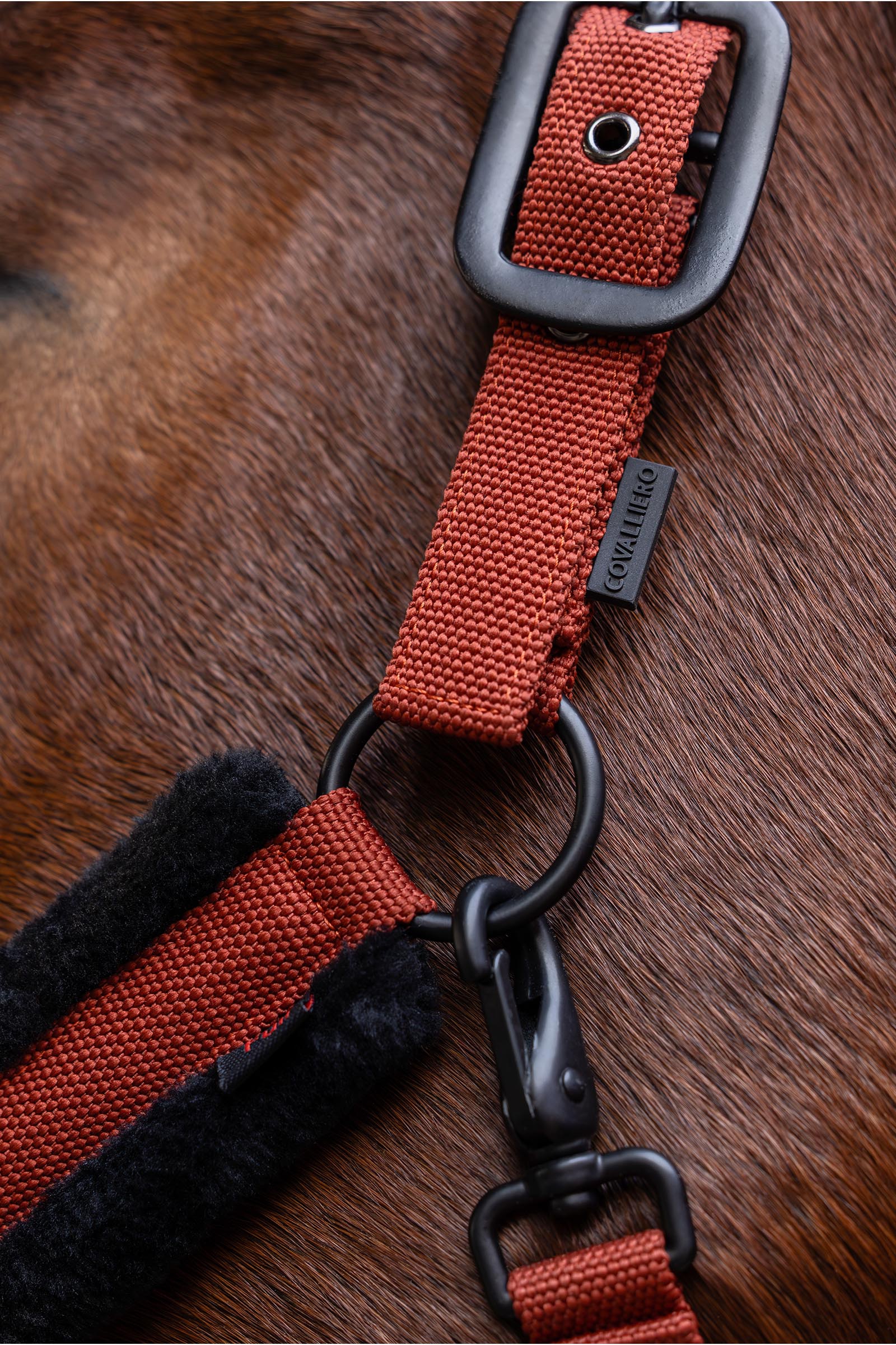 Covalliero Gepolstertes Halfter