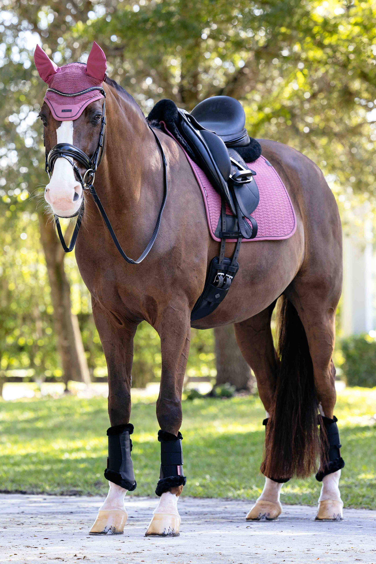 LeMieux Essence Dressur Schabracke