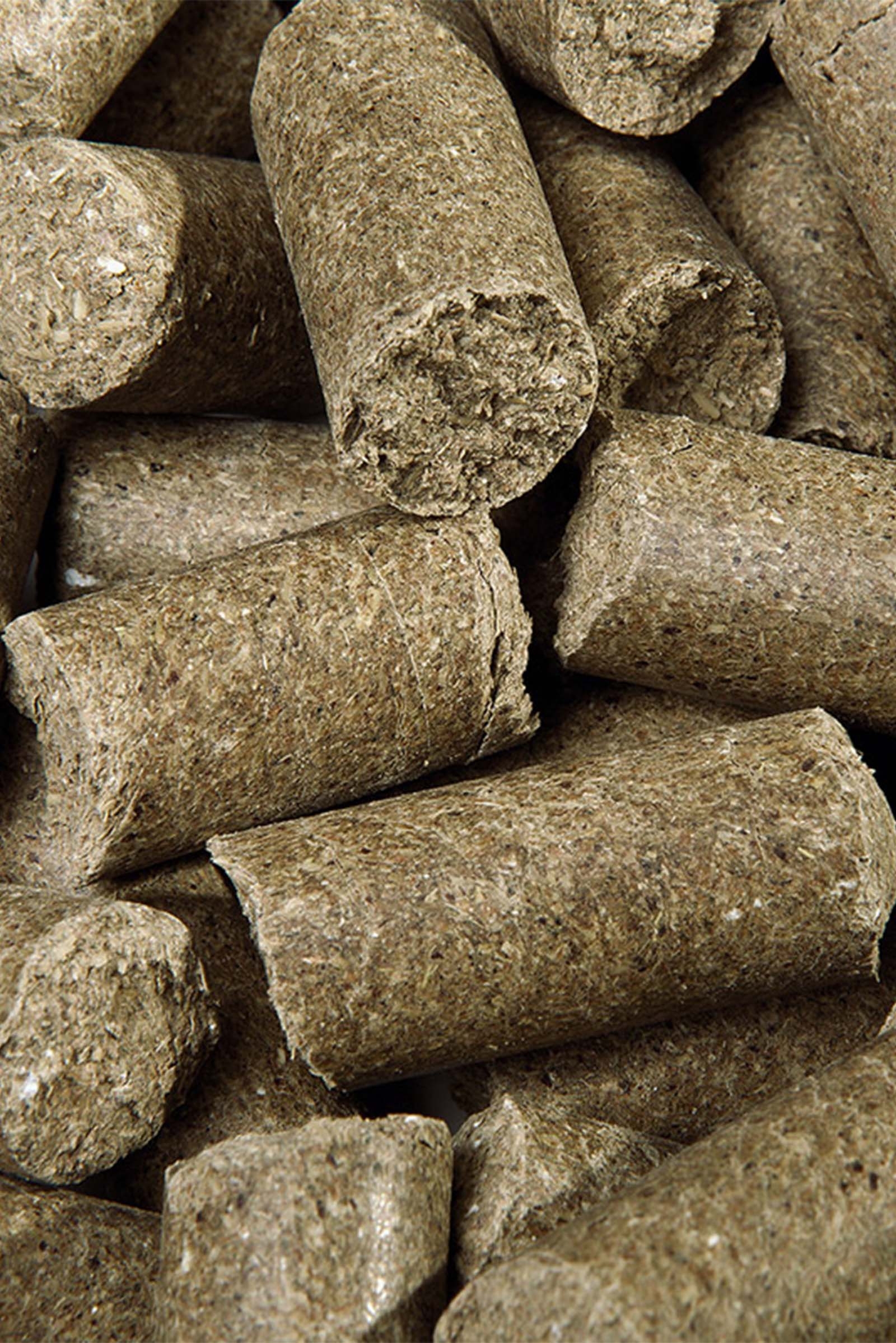 Speed Eucalyptus Delicious Speedies, Leckerli, 5kg