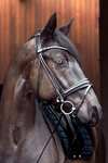 Catago Shay Rolled Bridle