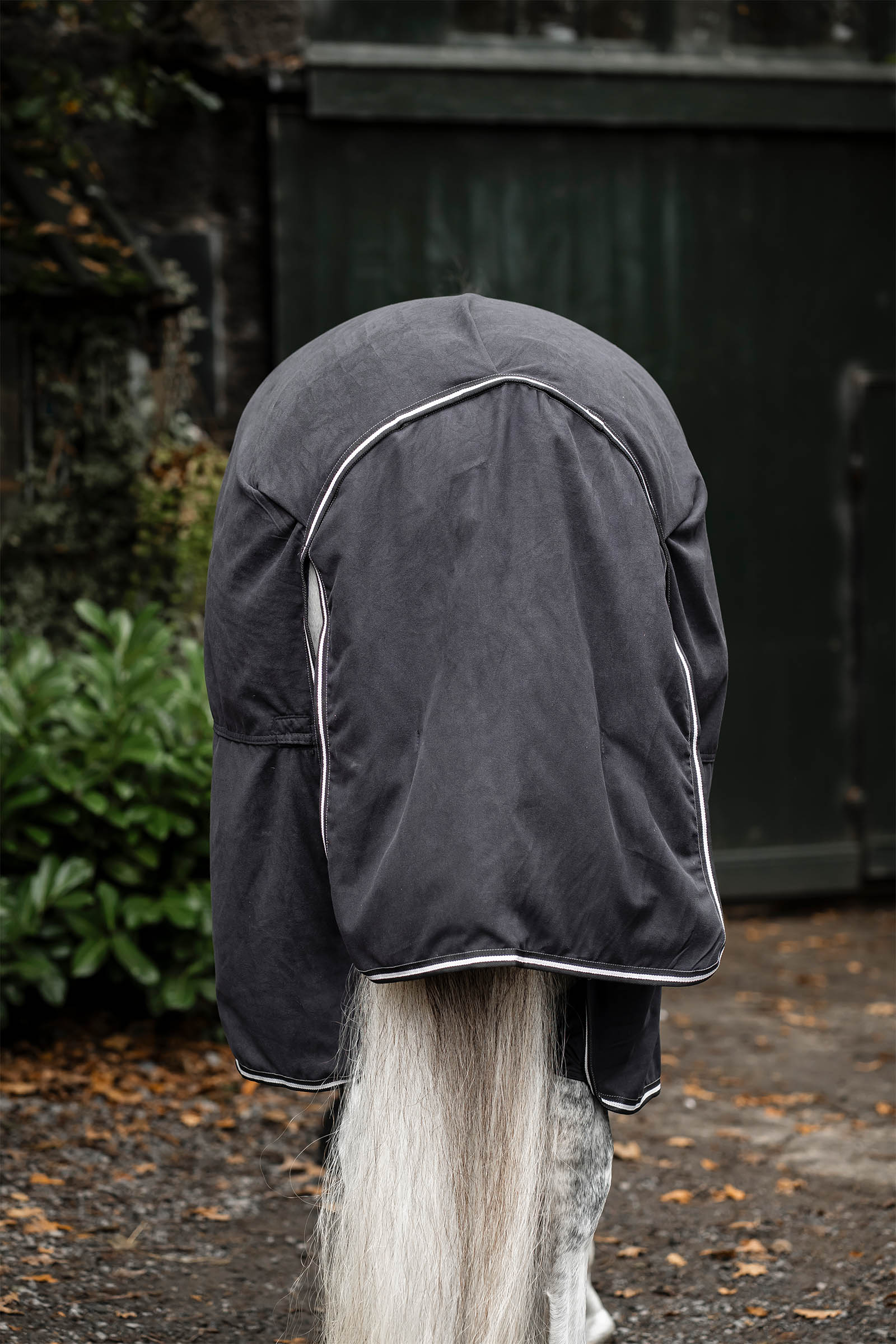 Horseware Show Ready Decke