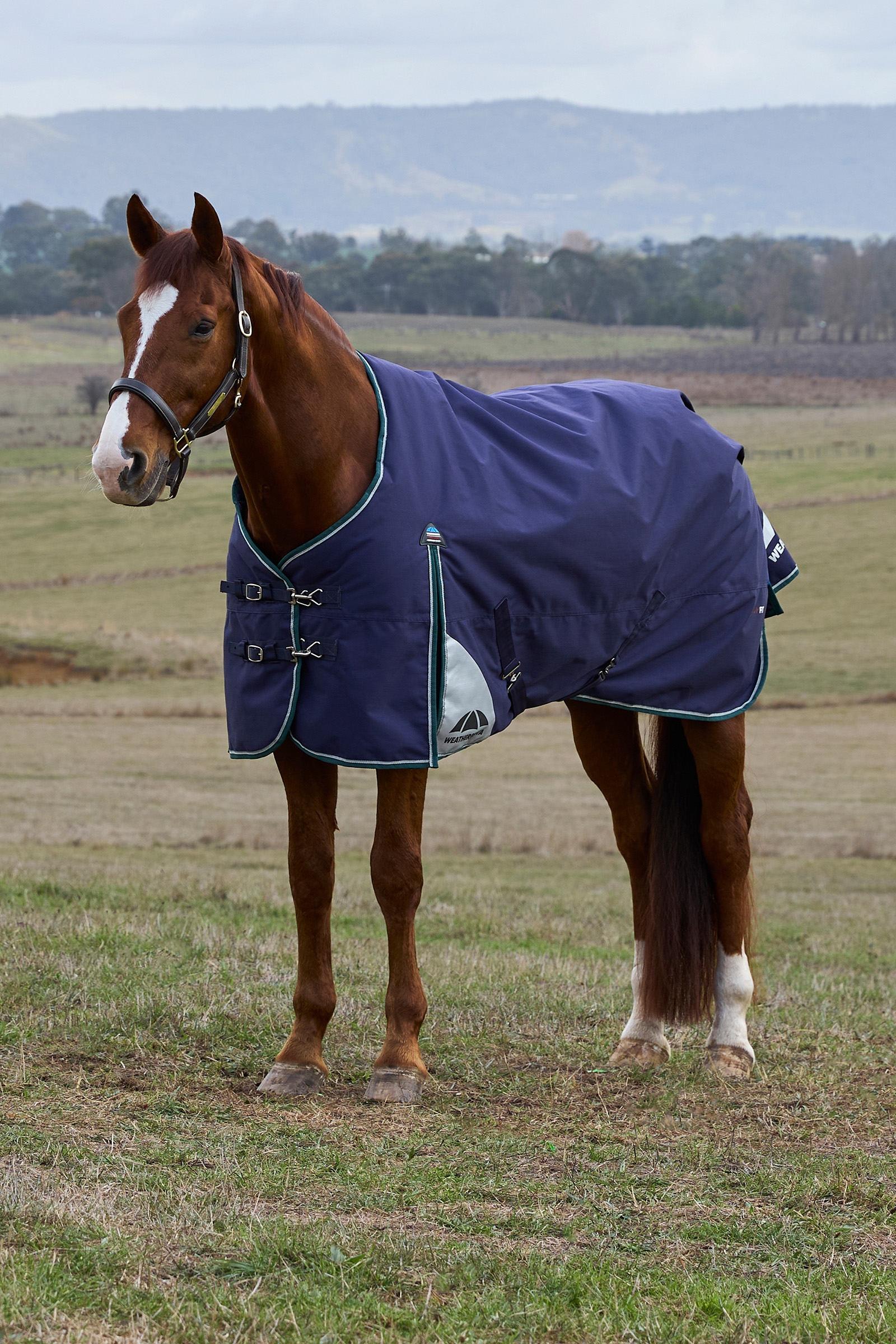 Navy/Forest Green Weatherbeeta ComFiTecPlus Dynamic Outdoor-Decke mit abnehmbarem Hals, 100 g  