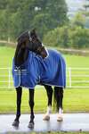 Horseware Rambo Cosy Fleece Abschwitzdecke