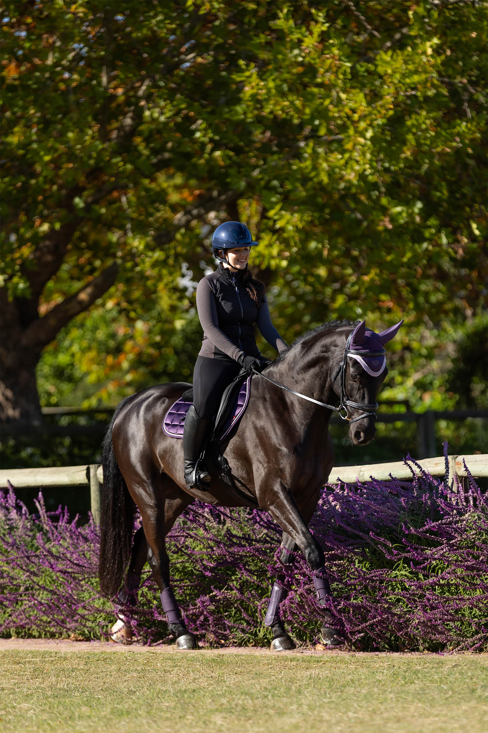 LeMieux Merino+ Loire Classic Close Contact Satteldecke