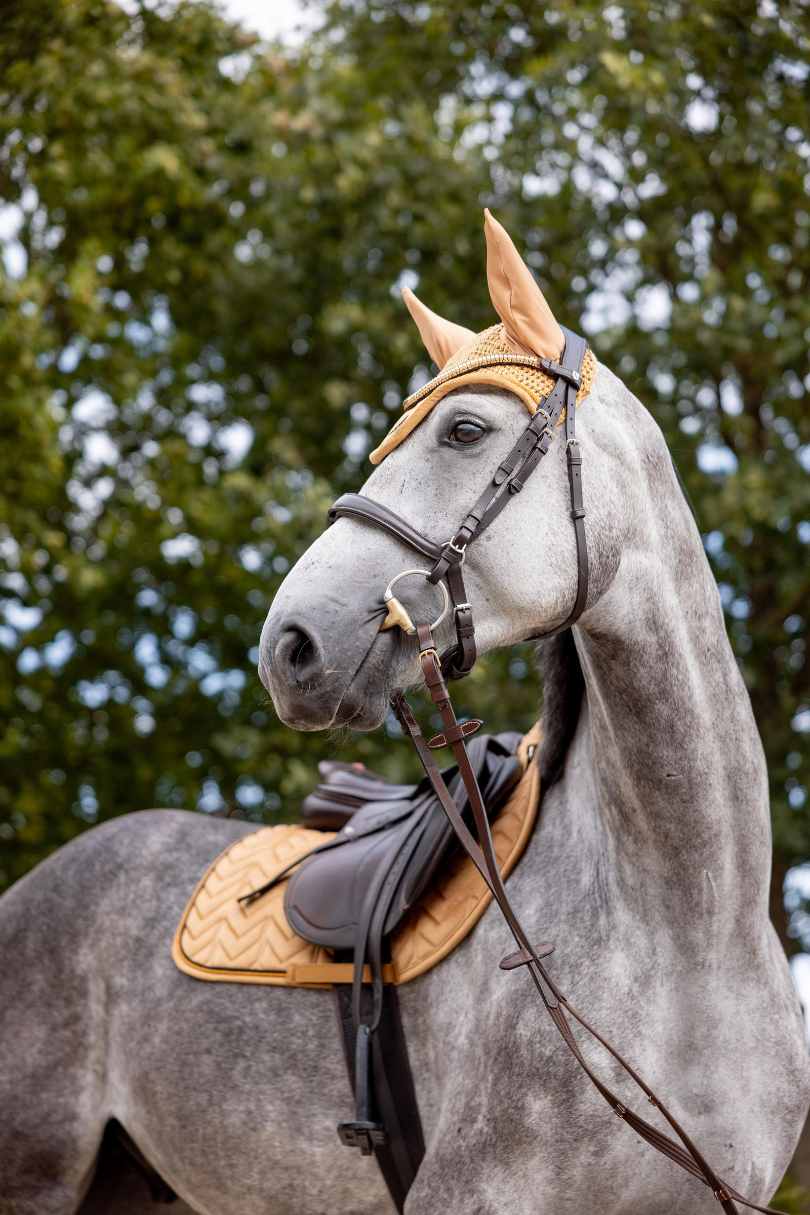 Horze Del&eacute;mont Fliegenhaube