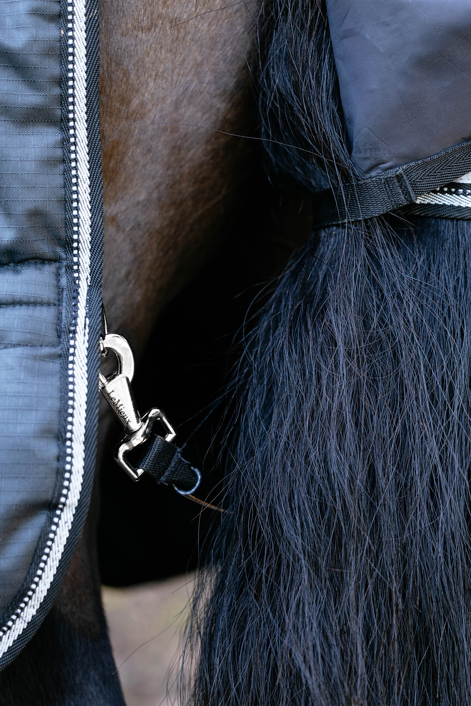 LeMieux Arika reflektierende Weidedecke mit abnehmbarem Halsteil, 0&nbsp;g