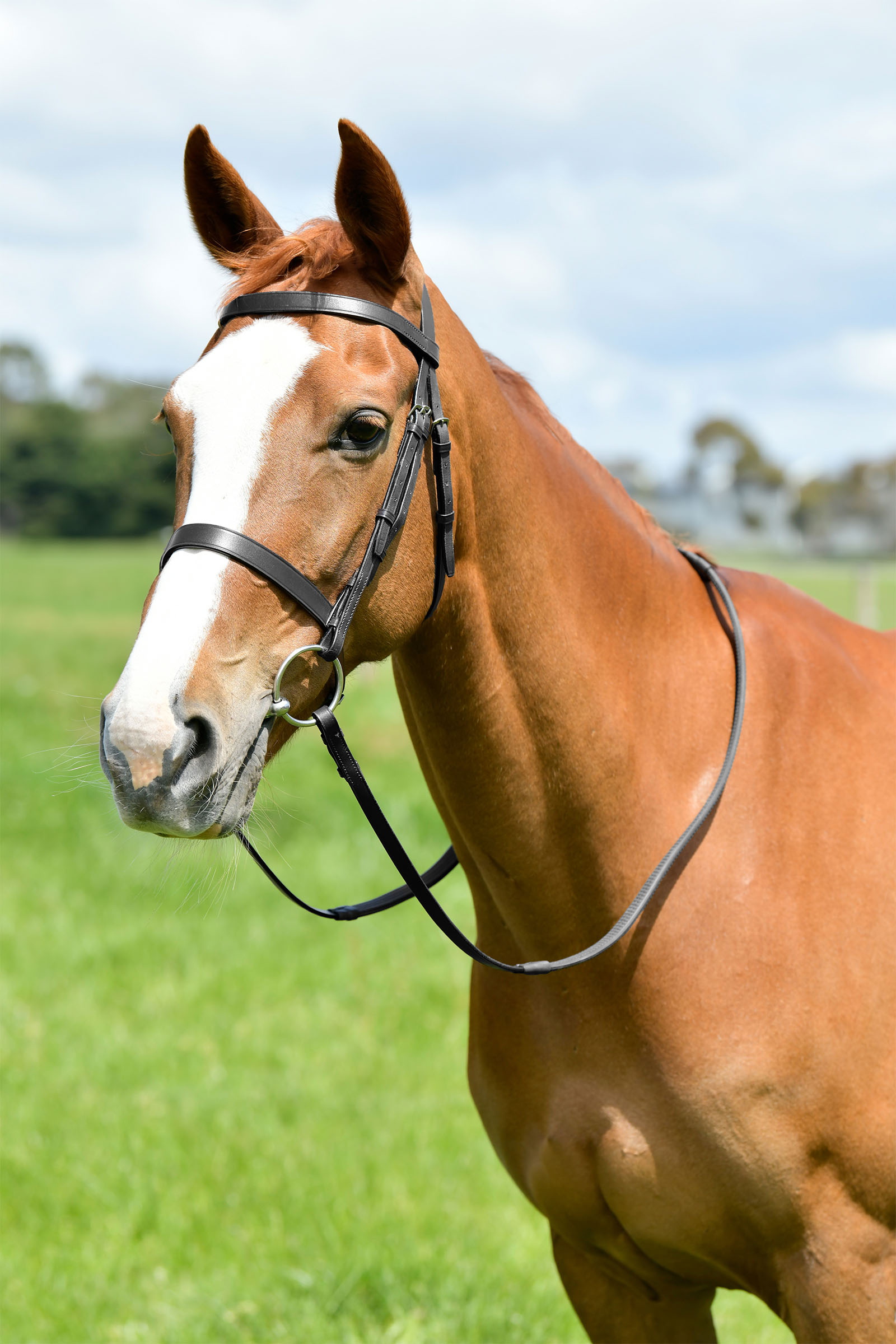 Black Kincade Classic flache Jagdtrense mit Z&uuml;geln