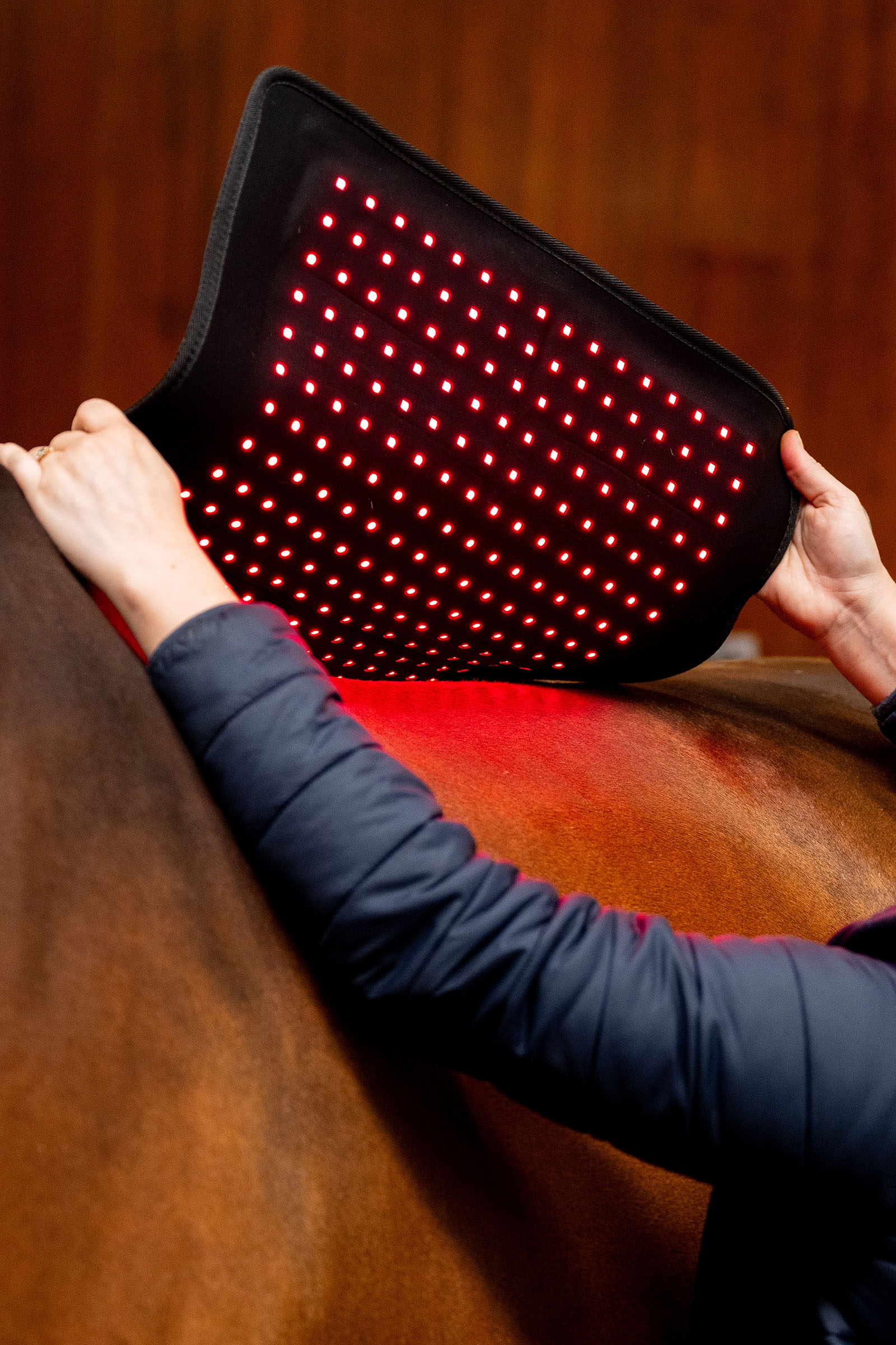 Horseware LED Rotlicht-Therapie Pad