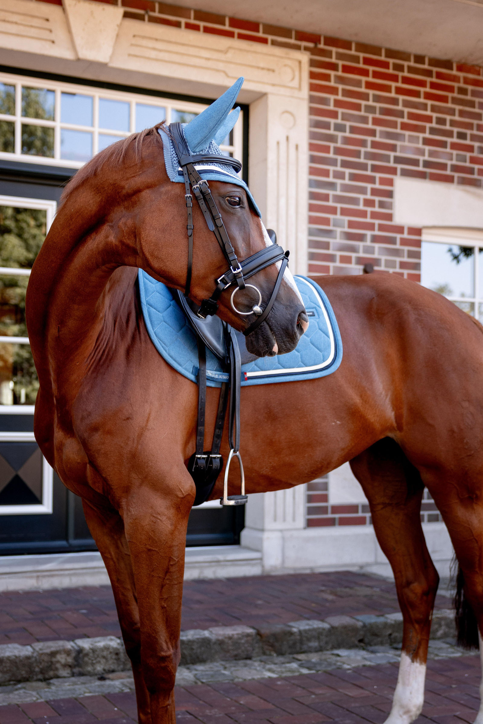 B Vertigo High Altitude Dressur-Schabracke