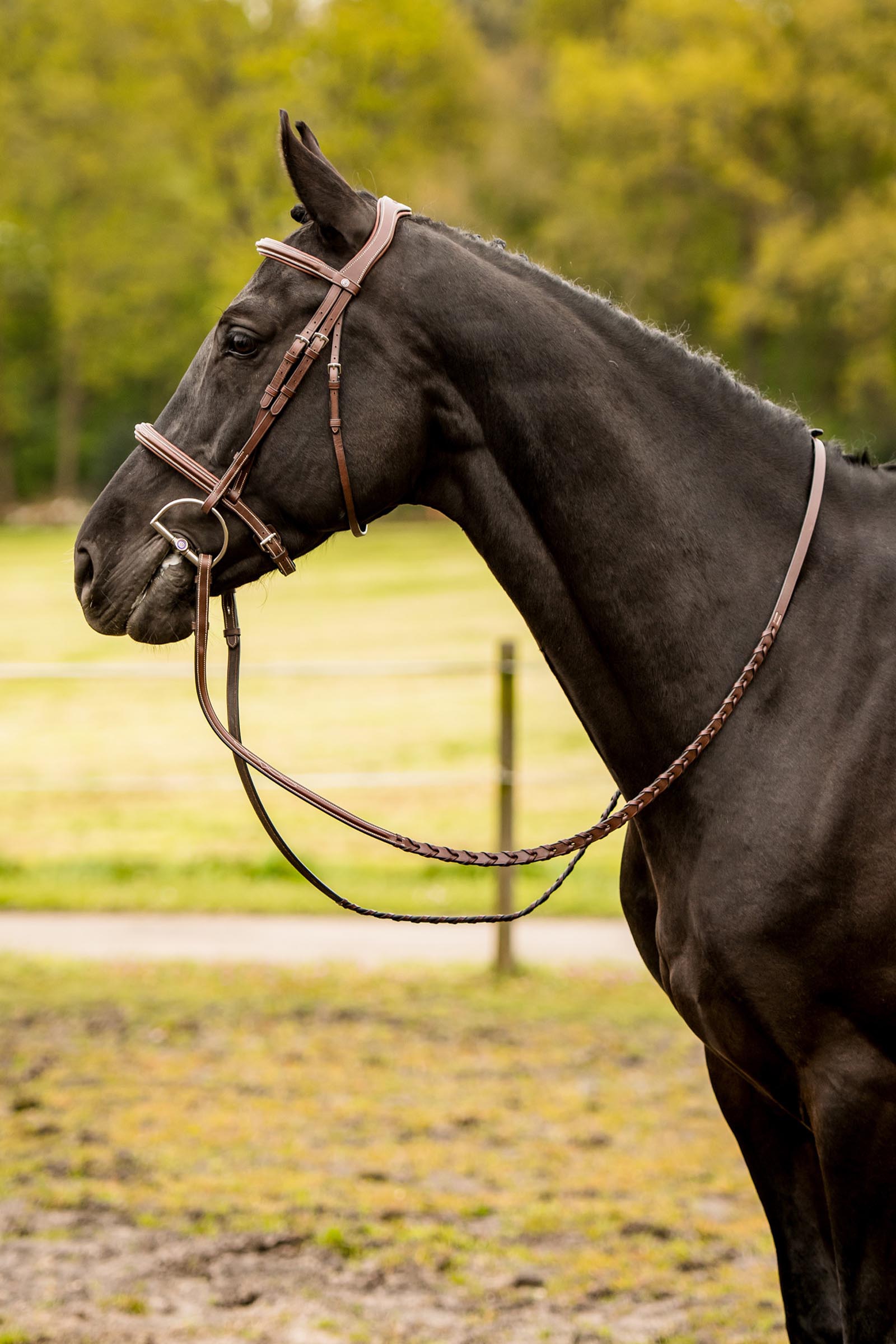 Trust Equestrian Hunter Bridle Kentucky